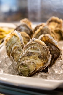 A close-up view of several brown and green oysters placed on a bed of ice in a white dish. The textures on the shell are detailed, showcasing ridges and patches of color.