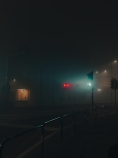 Infrared thermal imaging device capturing a foggy night scene with clear heat signatures.