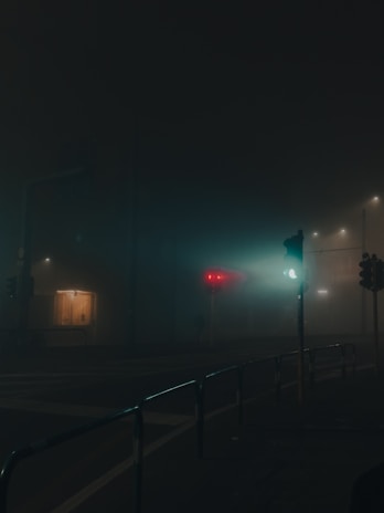 Infrared thermal imaging device capturing a foggy night scene with clear heat signatures.