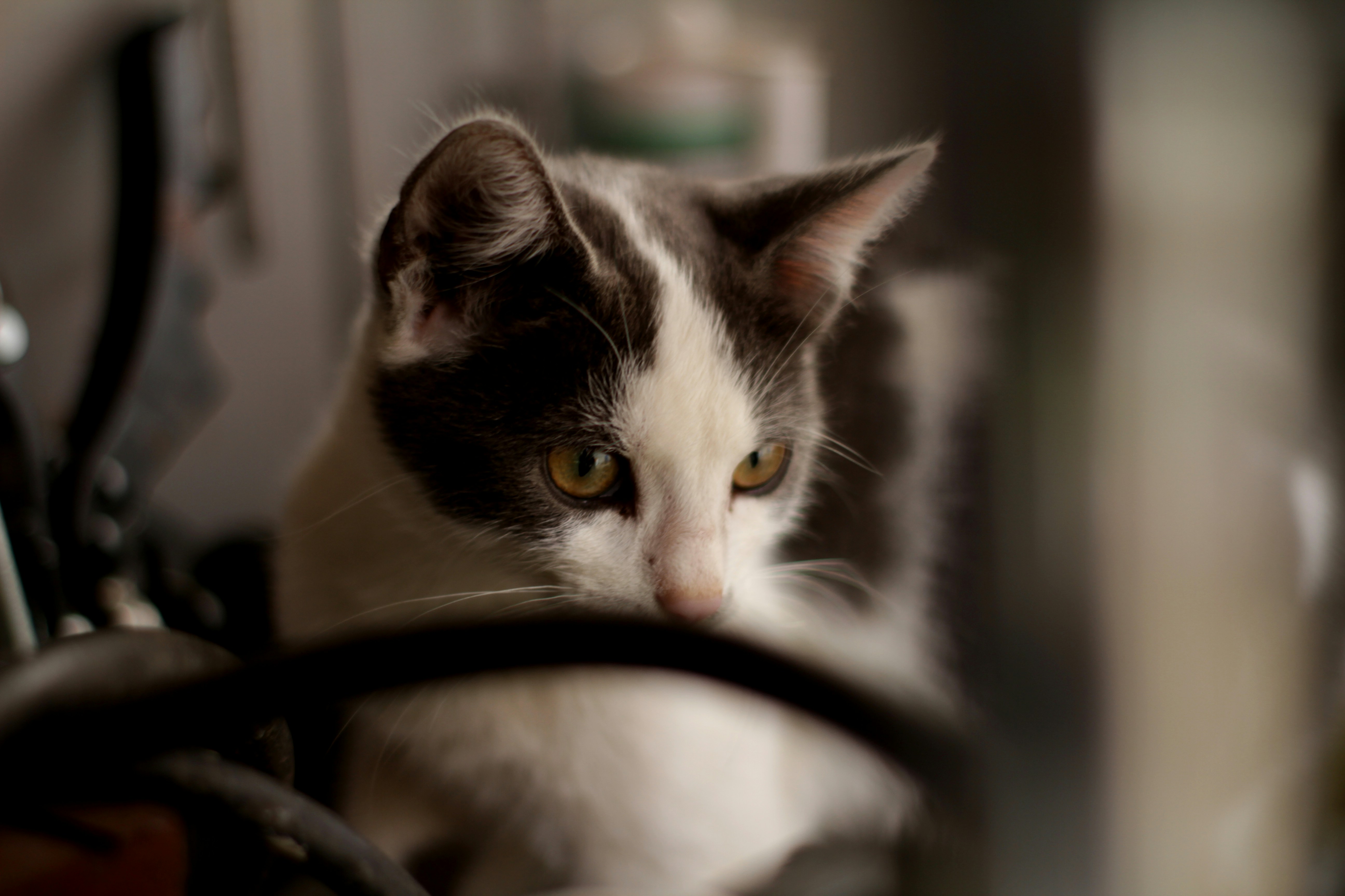 Photo by filip_lazar