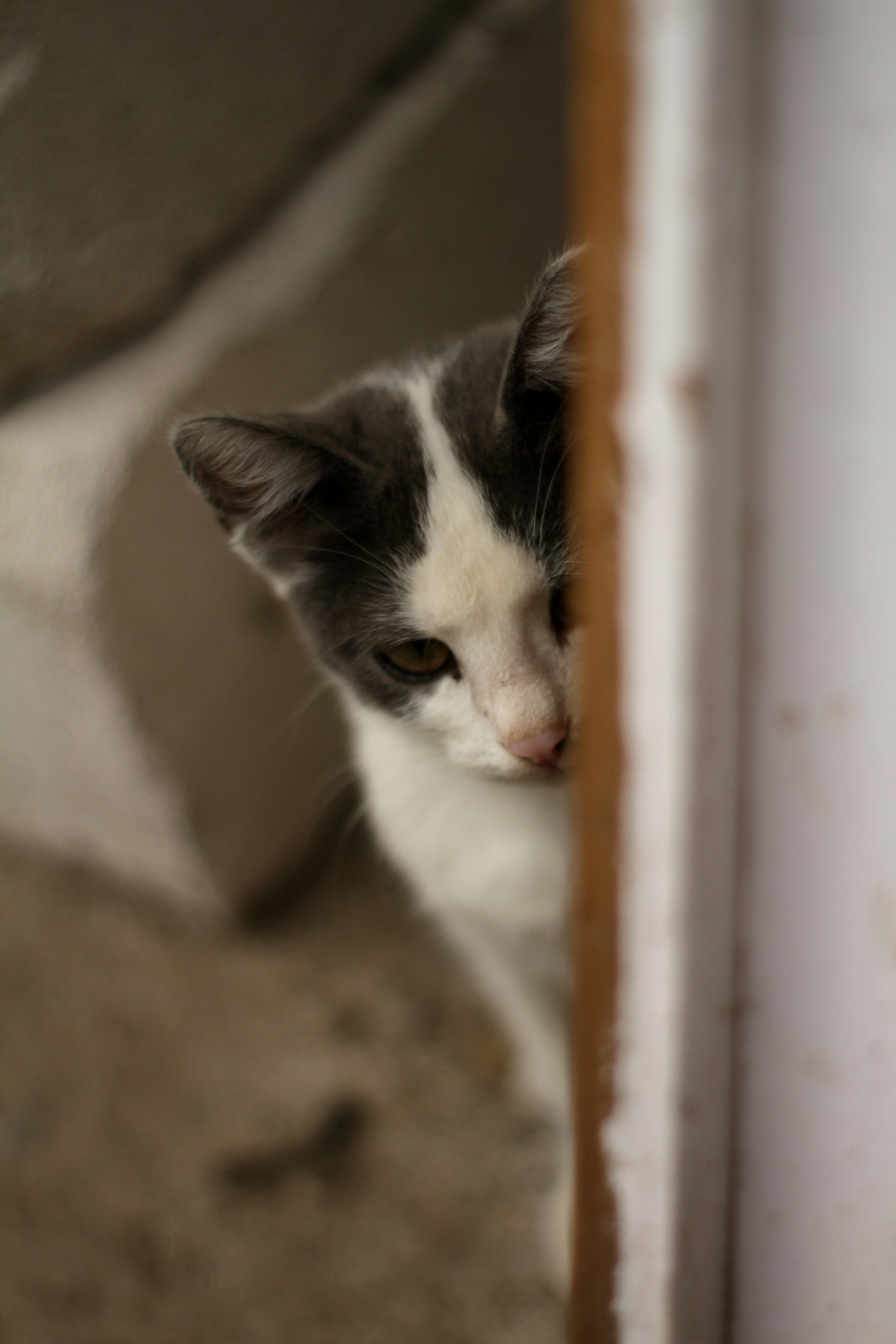 Photo by filip_lazar