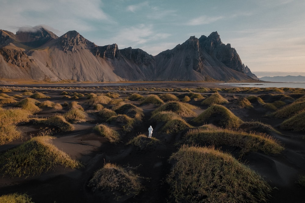 a person standing in a field with mountains in the background