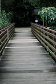 A wooden pathway winding through lush greenery leading to the villas.