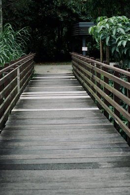 A wooden pathway winding through lush greenery leading to the villas.