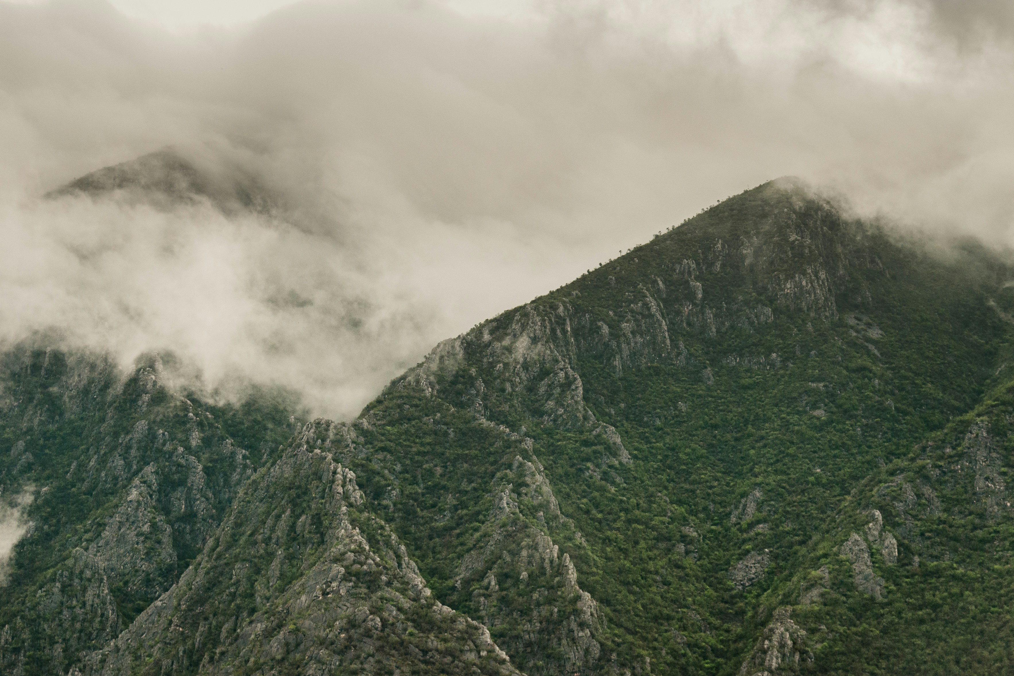 Photo by brandonchipotle