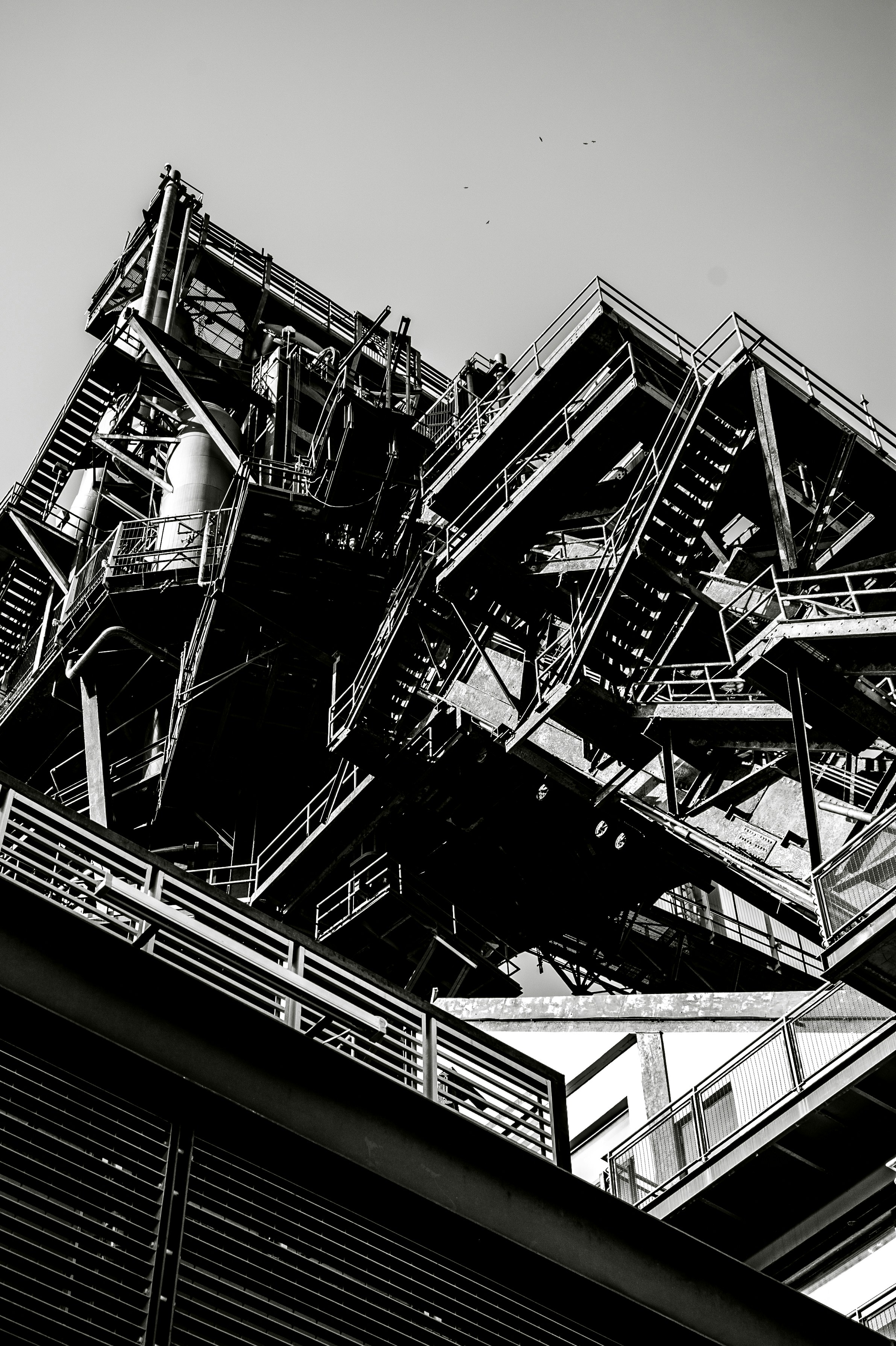 Photo by brandonchipotle