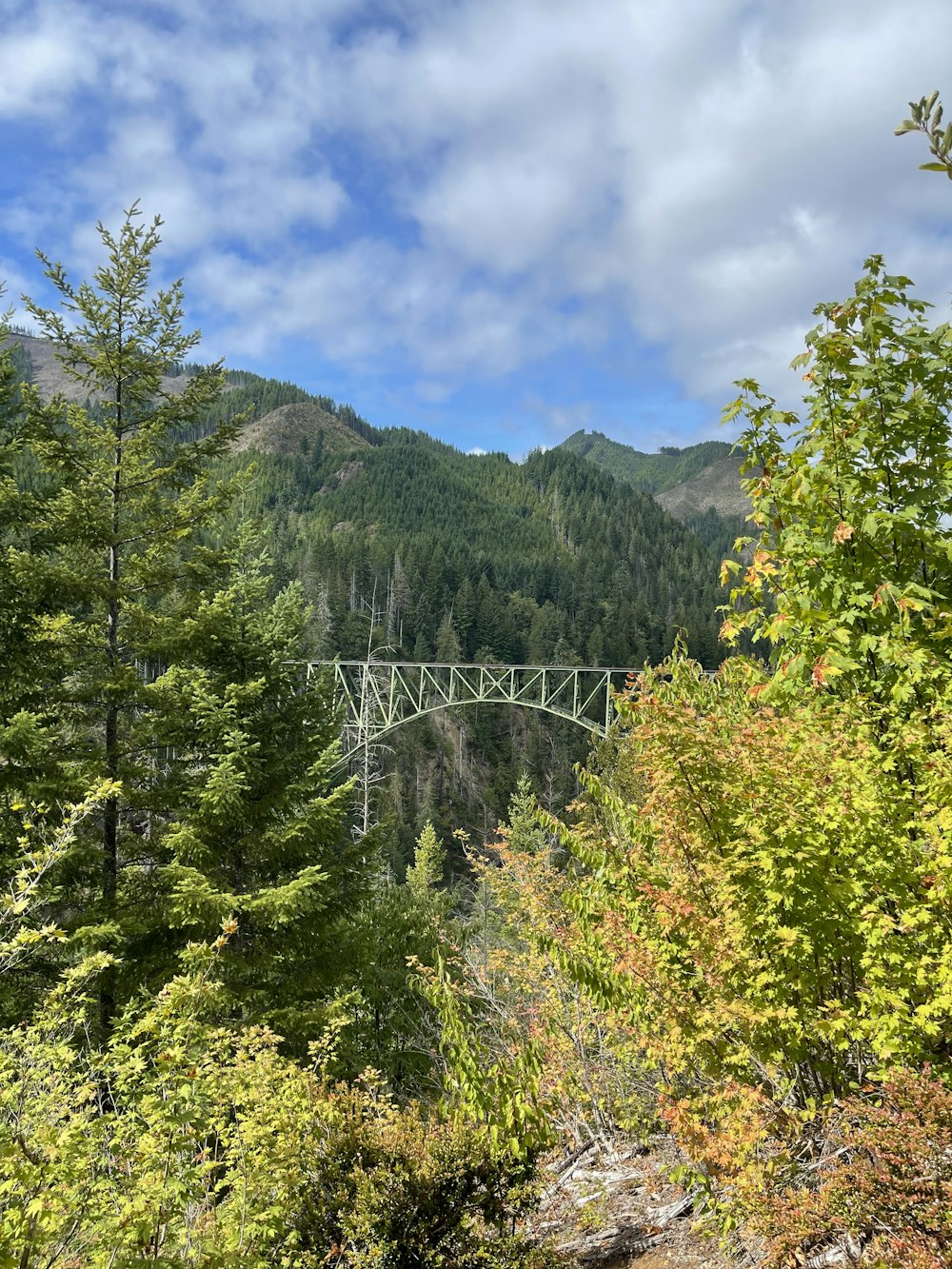 a bridge in the middle of a forest with mountains in the background