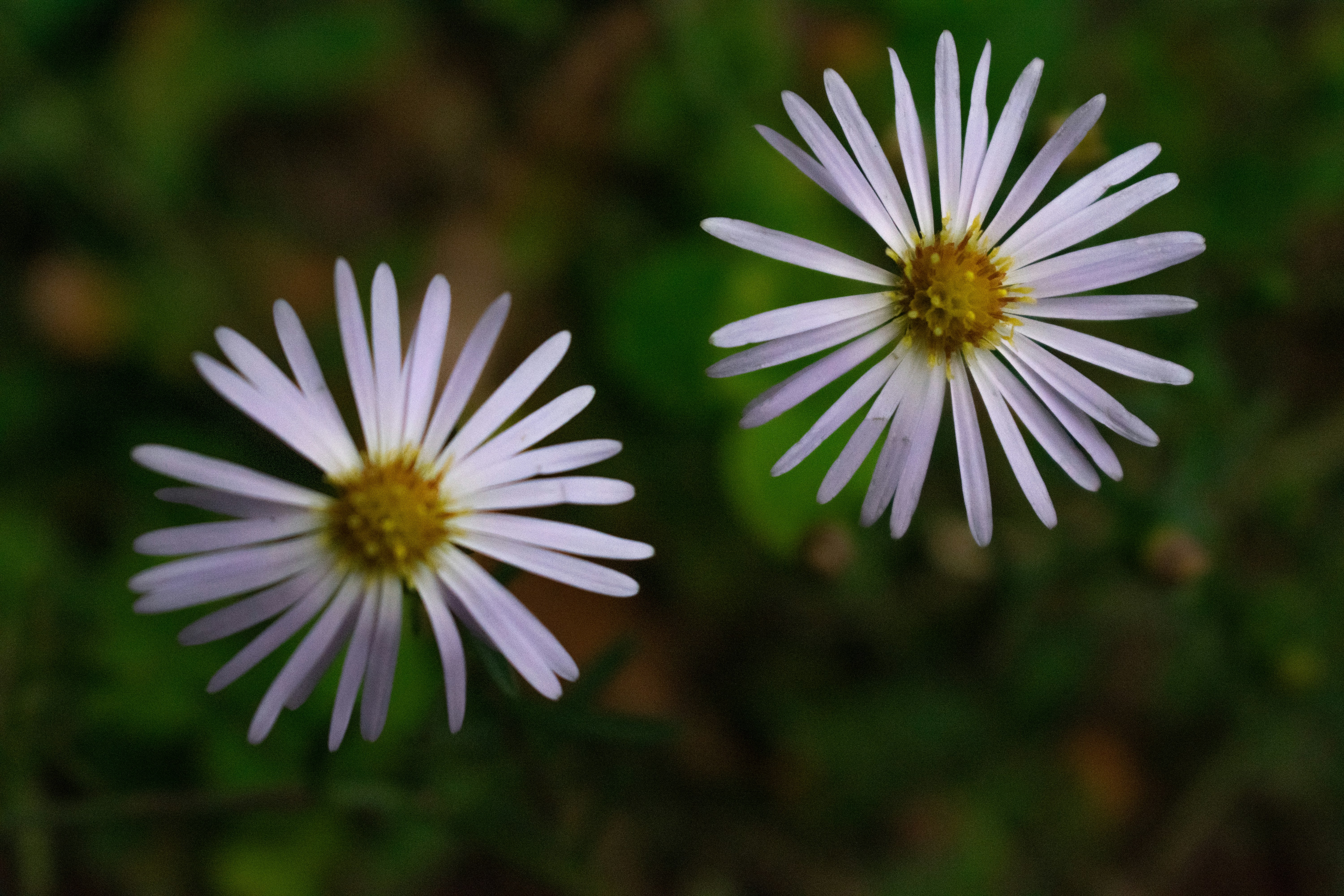 Photo by astro_civil