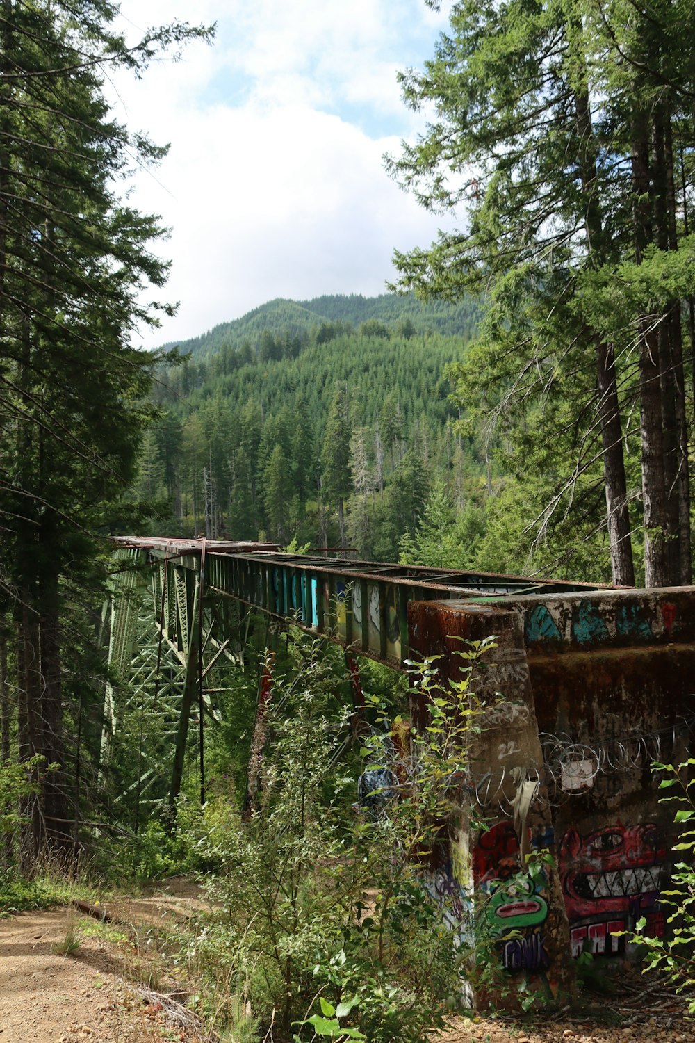 a train traveling over a bridge in the middle of a forest