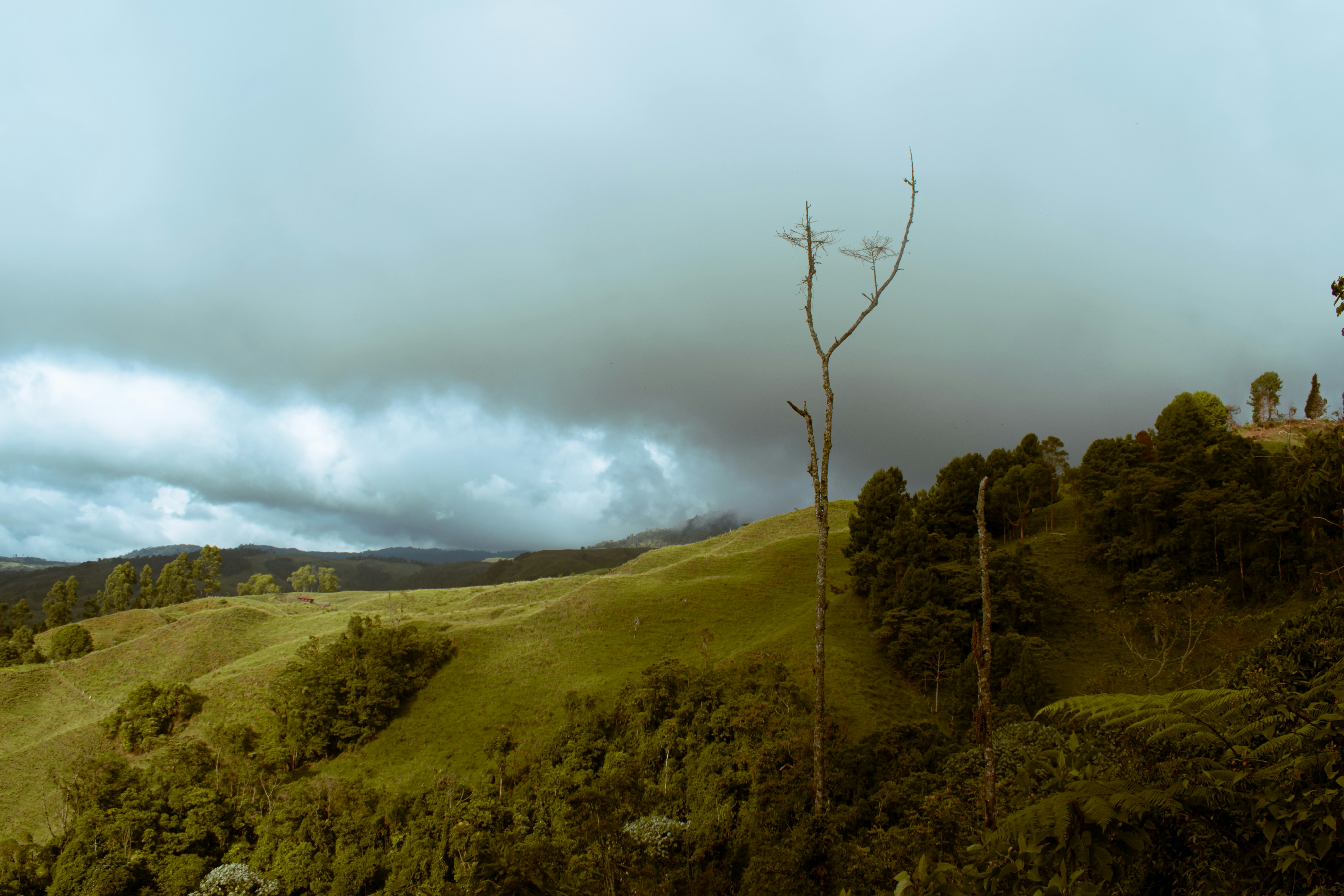 Image by Di via Unsplash