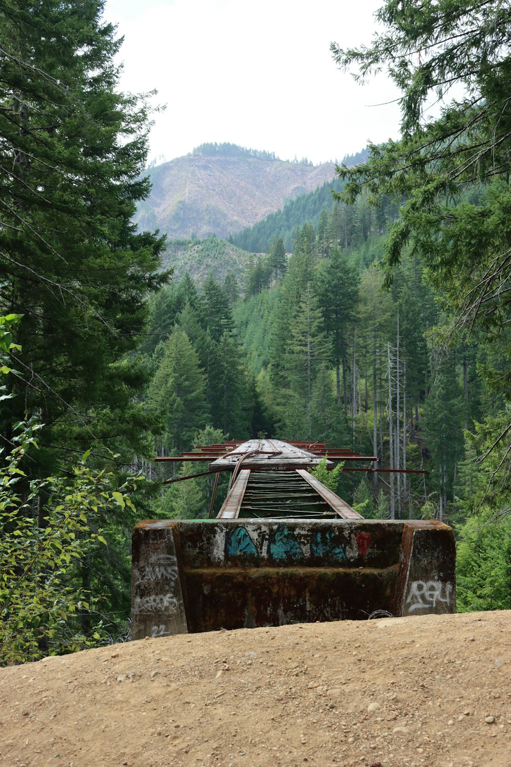 a rusted out truck sitting in the middle of a forest