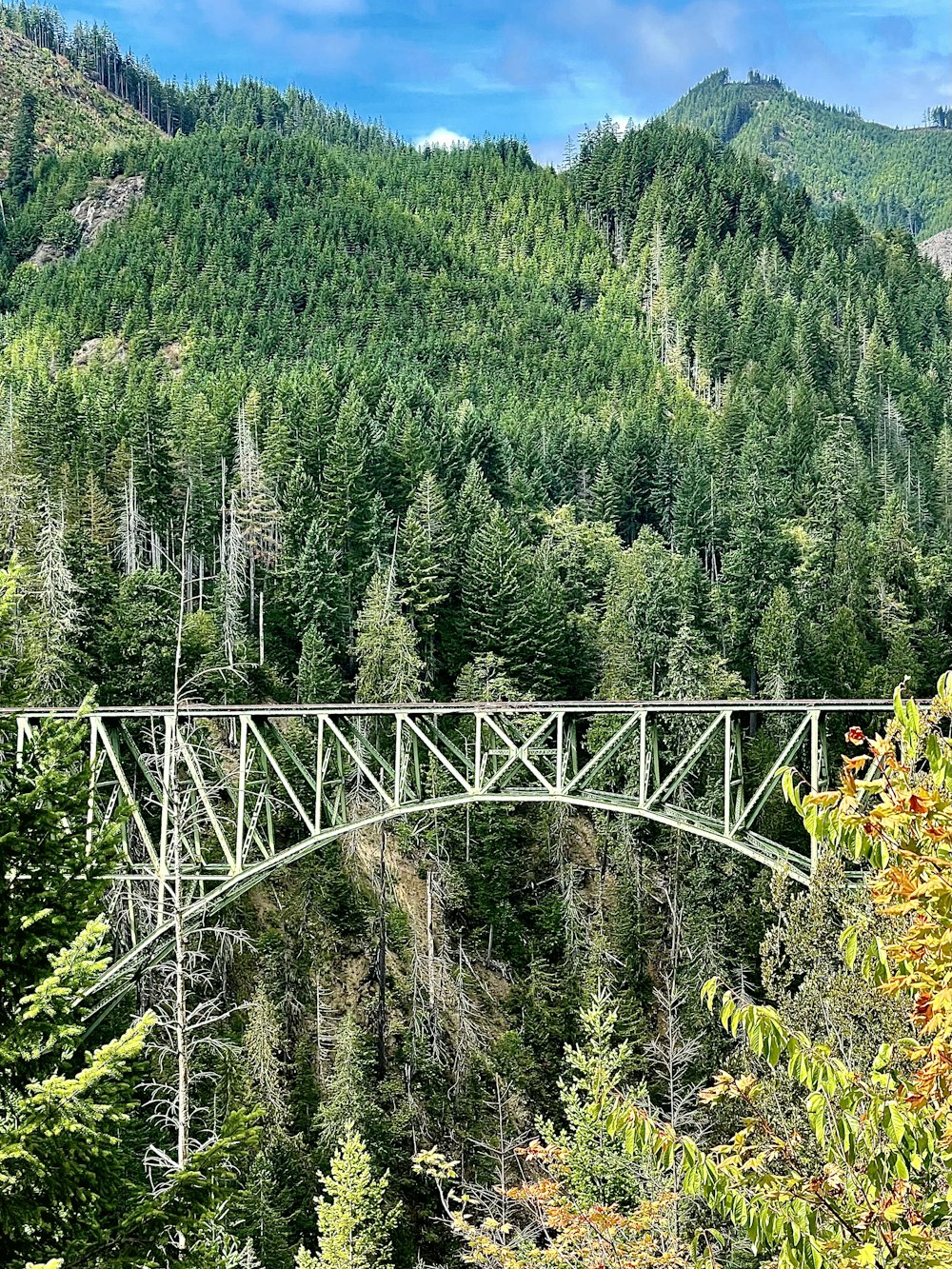 a bridge in the middle of a forest with a mountain in the background