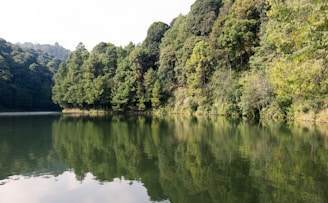 A serene landscape featuring a calm lake surrounded by trees, symbolizing tranquility and mental peace.