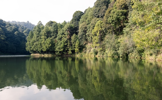 A serene landscape featuring a calm lake surrounded by trees, symbolizing tranquility and mental peace.