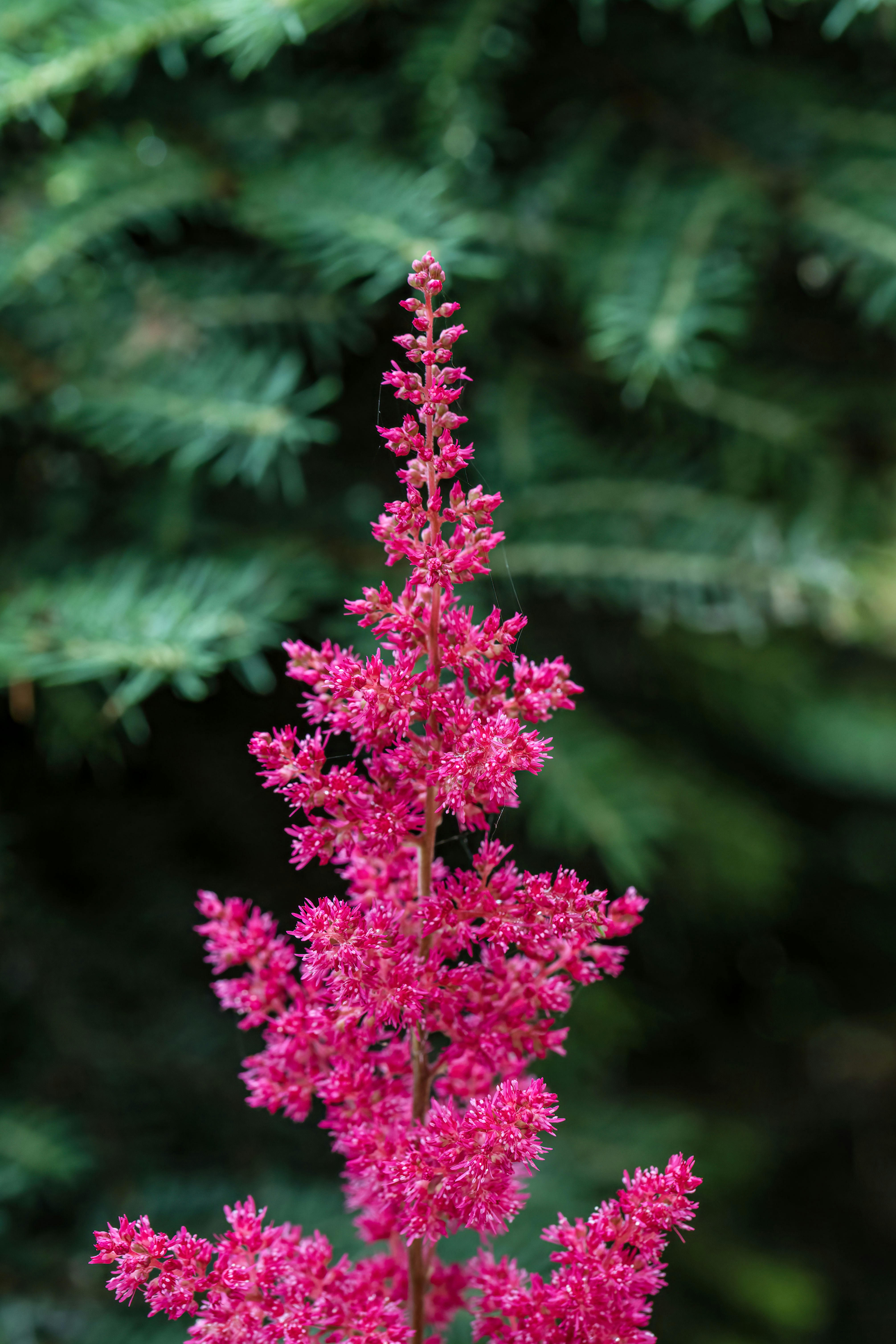 Photo by camerauthor