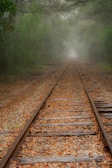 A misty, serene railway track stretches into the distance, disappearing into a foggy forest. The tracks are covered with fallen autumn leaves, creating a tranquil, natural atmosphere. Dense greenery surrounds the tracks, with tall trees arching overhead, enhancing the peacefulness of the scene.