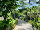 A serene garden path surrounded by lush greenery and sunlight filtering through the leaves.