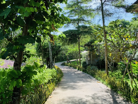 A serene garden pathway surrounded by lush greenery and soft sunlight filtering through the trees.