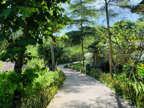 A serene garden pathway winding through lush greenery with layered shadows and soft sunlight filtering through tall trees.