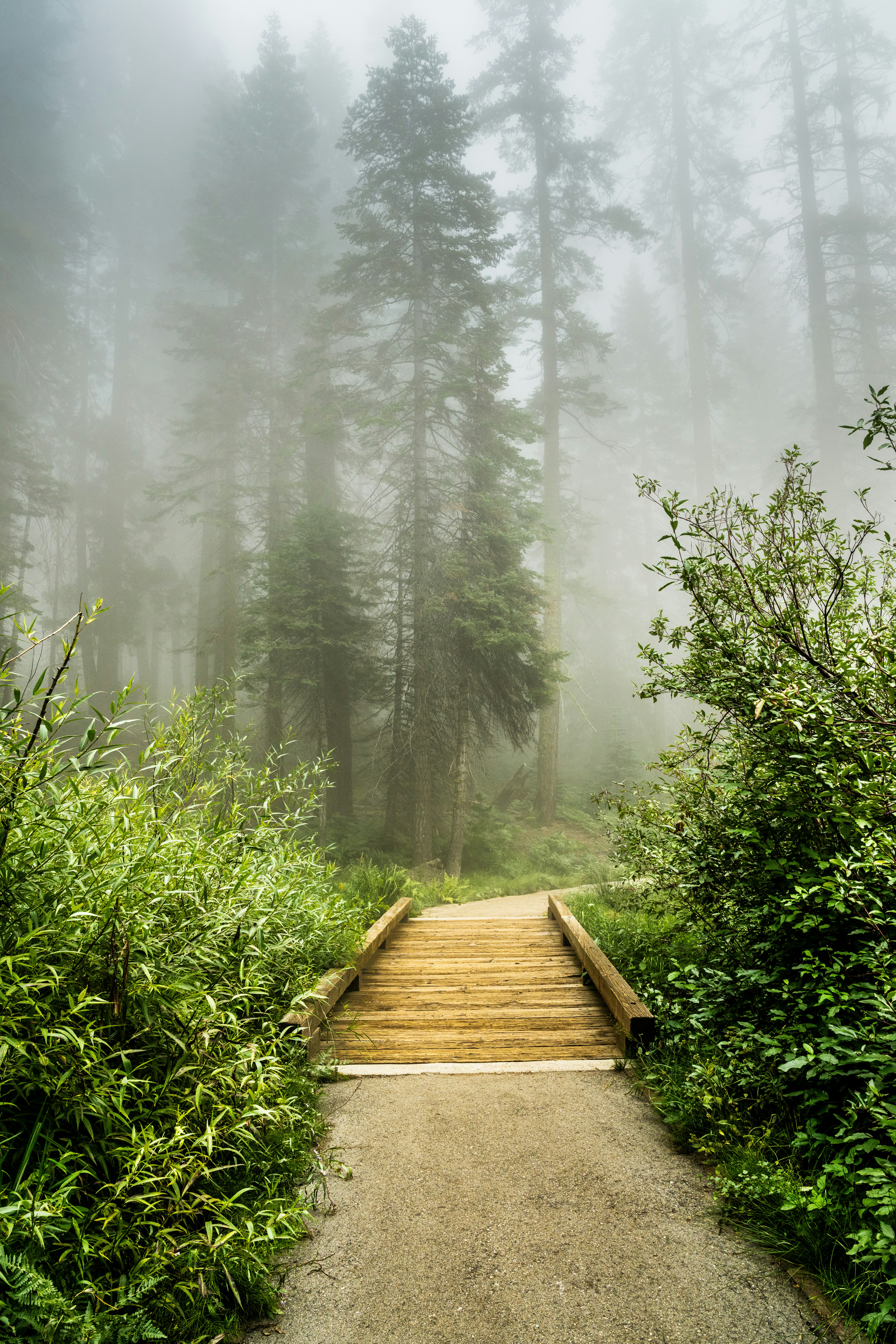 Photo by happy_pixel