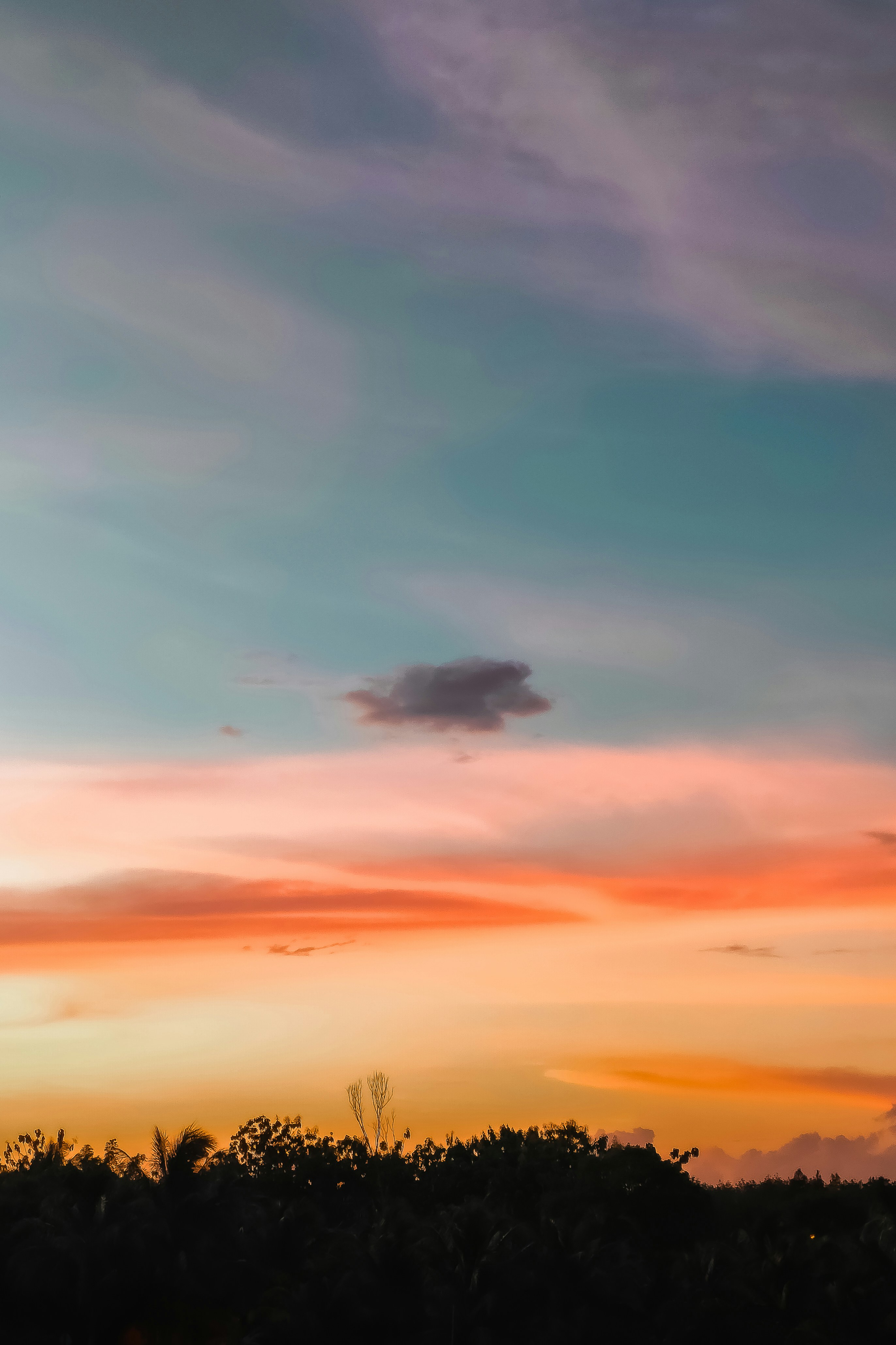 Photo by setsj