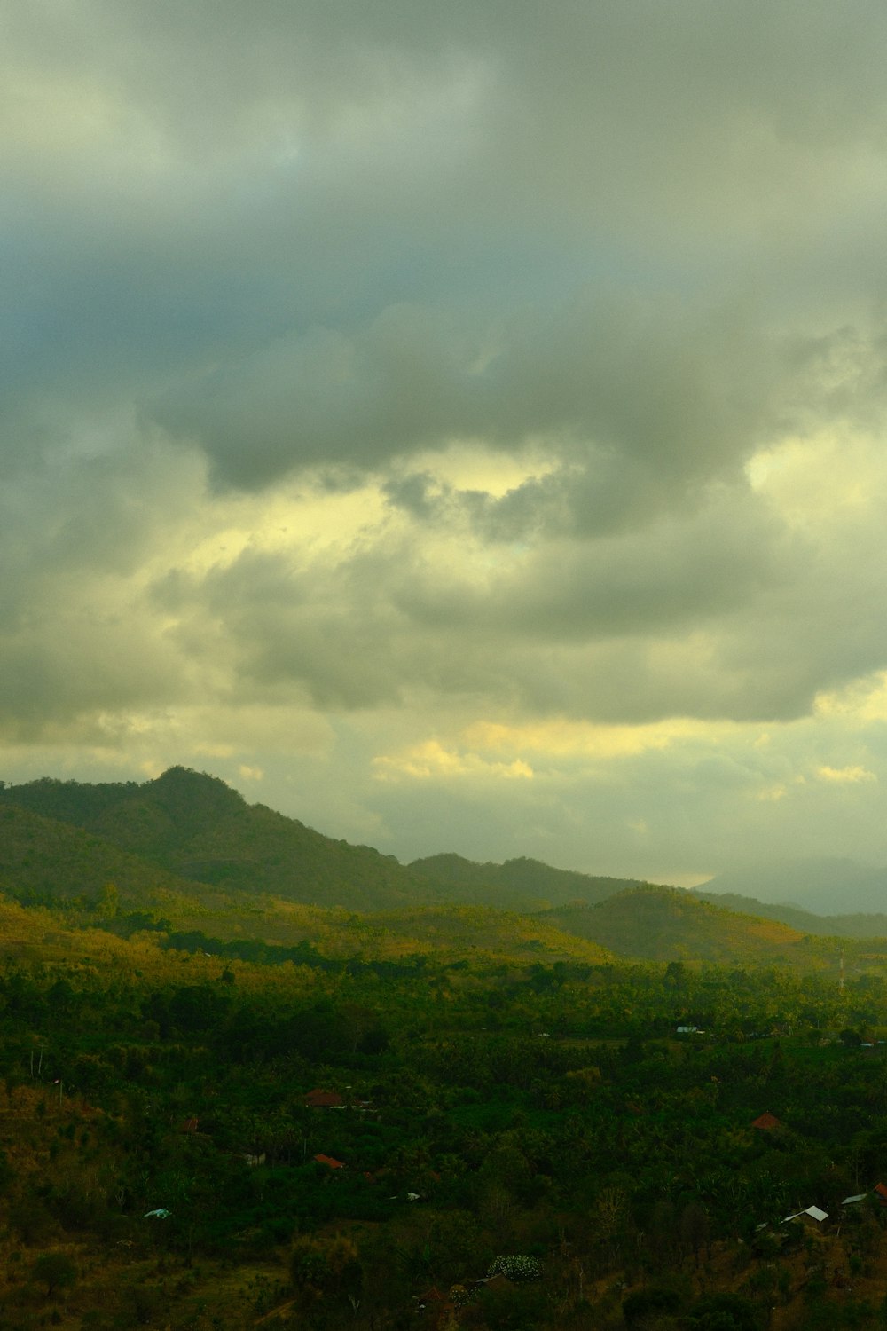 a grassy field with a mountain in the background