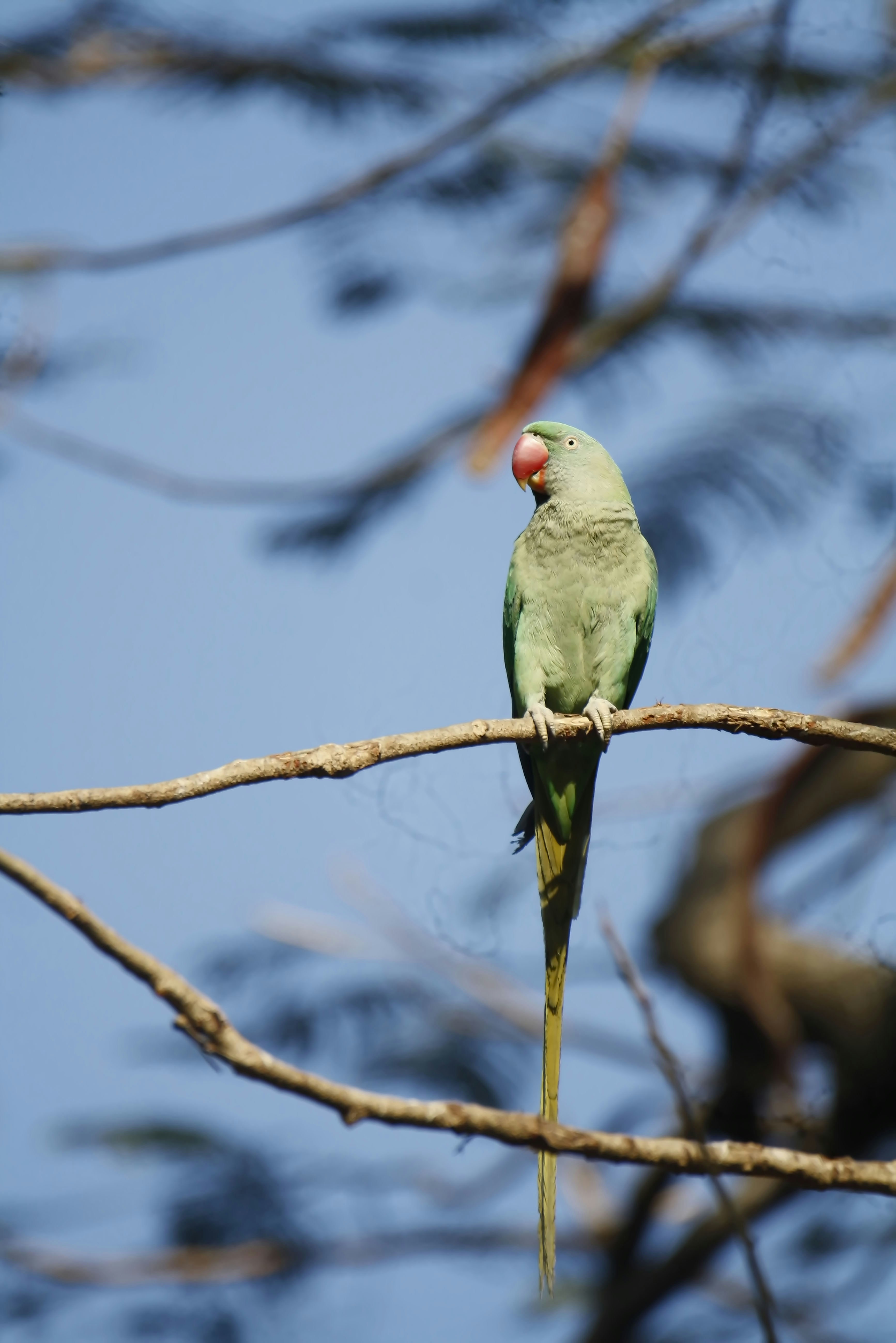 Photo by sylvester_123