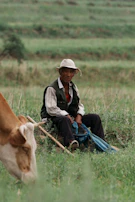 A candid moment of a local farmer sharing stories during a content shoot outdoors.