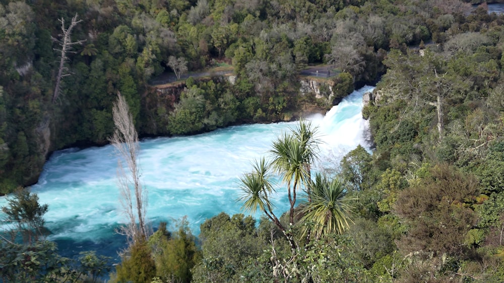 a river running through a lush green forest