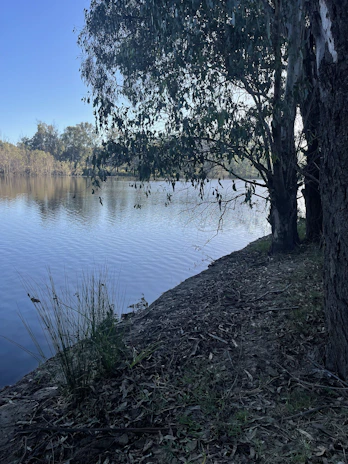 A serene riverside land parcel with tall trees and clear water reflecting the blue sky.