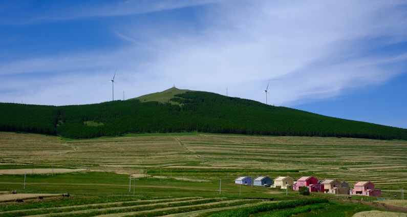 A rural landscape with vast green fields extending towards a hill, topped with wind turbines. A row of colorful houses, painted in shades of pink, blue, yellow, and beige, stands at the forefront of the fields. The sky is blue with a few wispy clouds above.