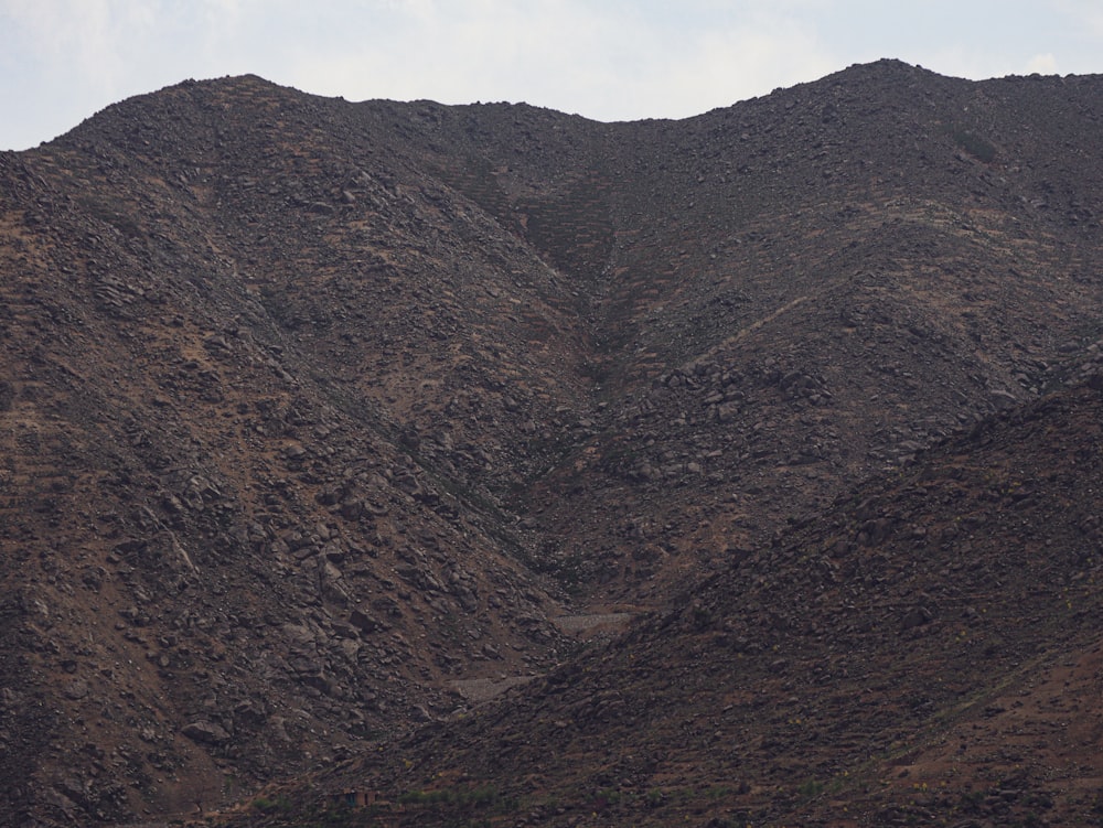 a mountain with a bird flying over it