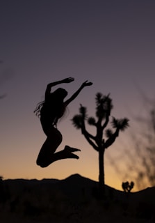 A silhouette of a person jumping in the air against a twilight sky with a prominent Joshua tree in the foreground and mountains in the background. The scene is serene and framed by the fading light of sunset.
