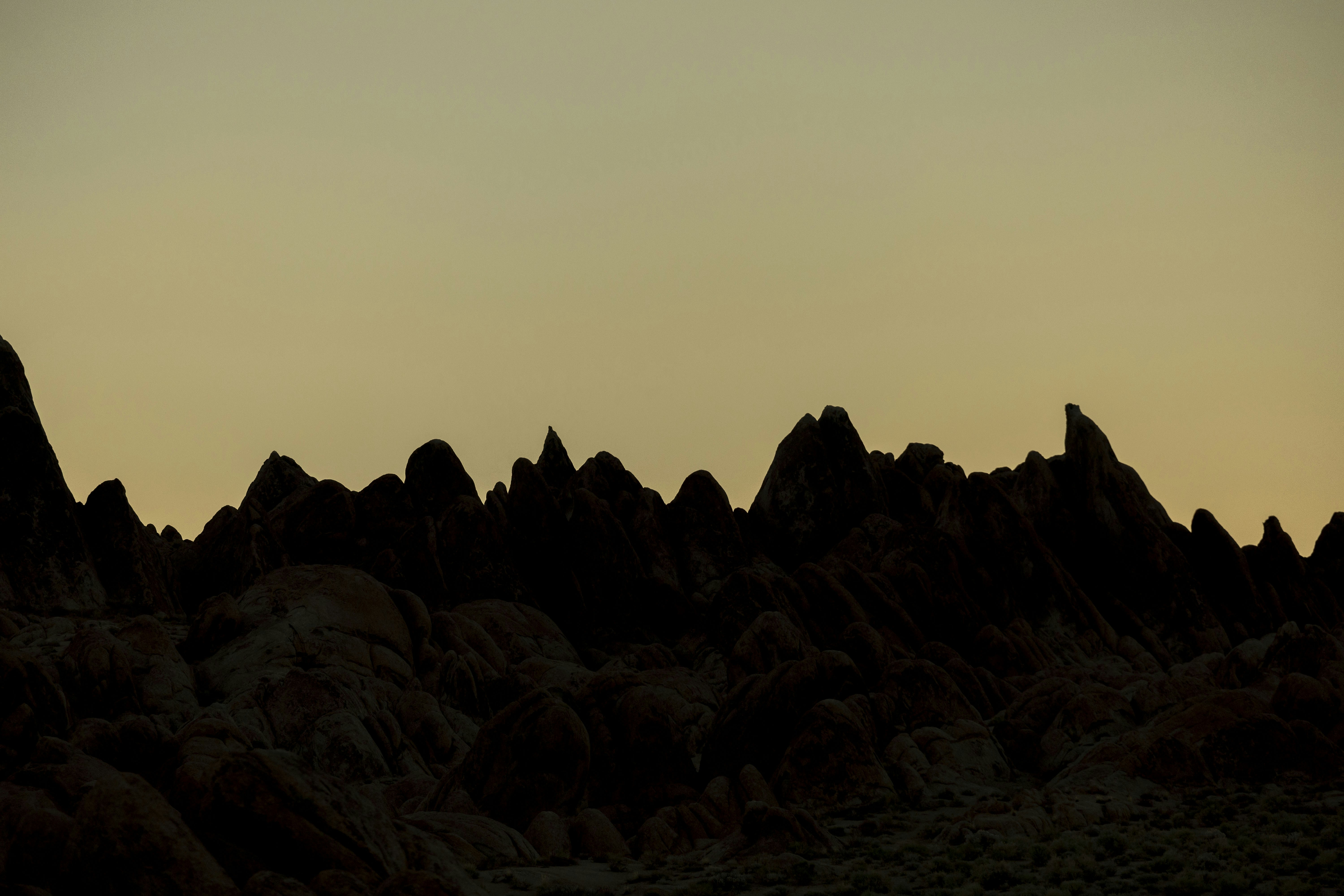 Photo by leo_visions_