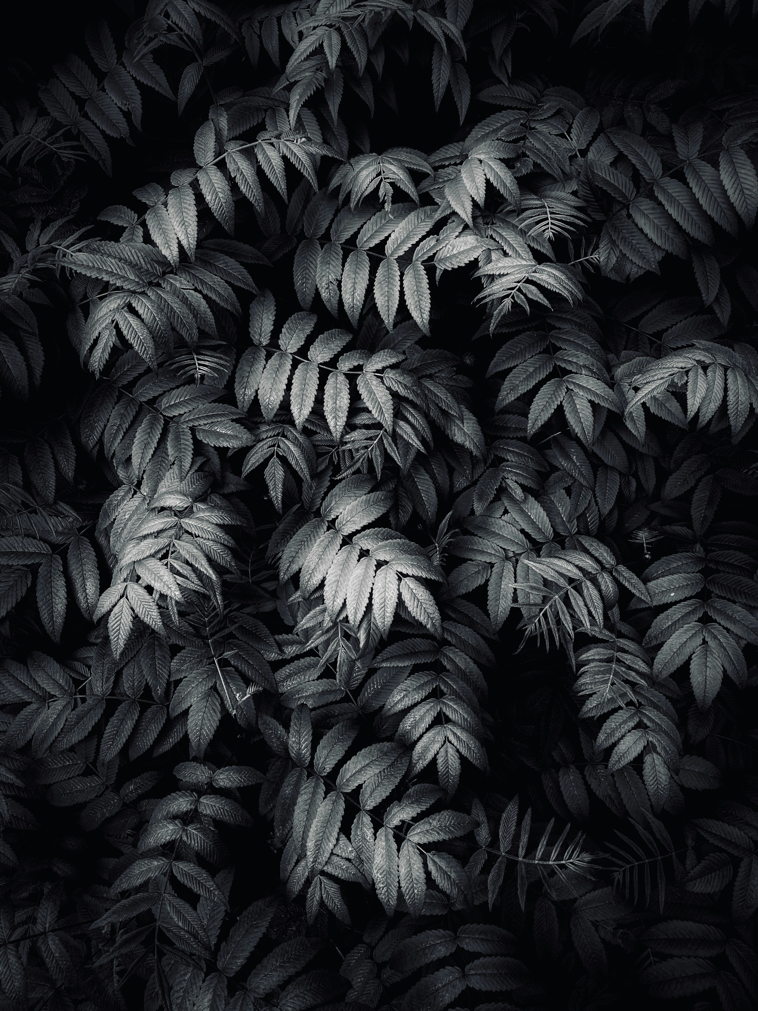 Photo by eugene_golovesov