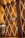 An elegant, geometric wall display with golden lighting and triangular patterns features prominently. Intricate, illuminated lines criss-cross the surface, creating a diamond-like pattern. A central abstract logo or emblem stands out amidst the design. A large column is visible on the right, and glass doors on the left reveal a glimpse of a decorated interior.