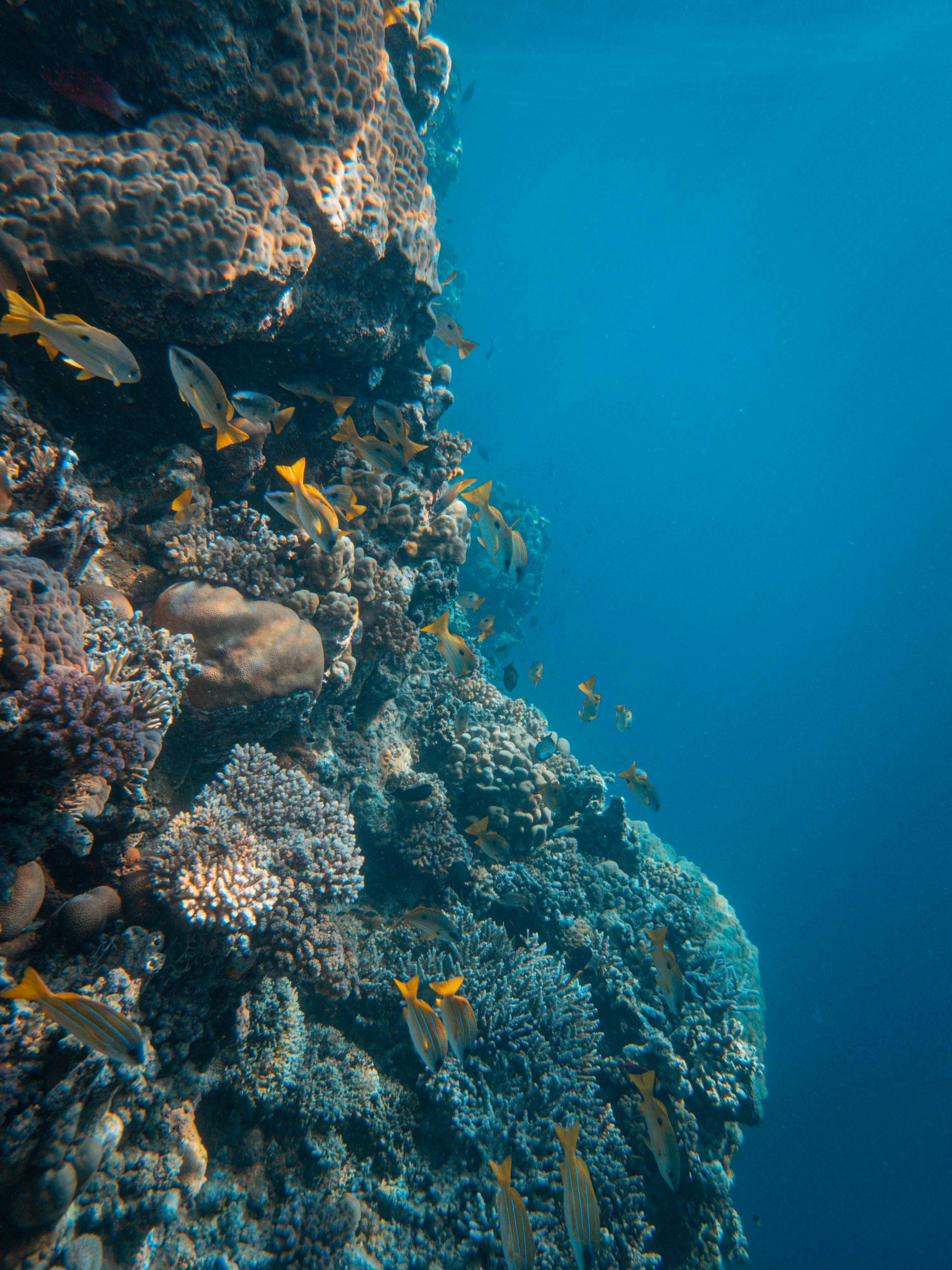 Photo by francesco_ungaro