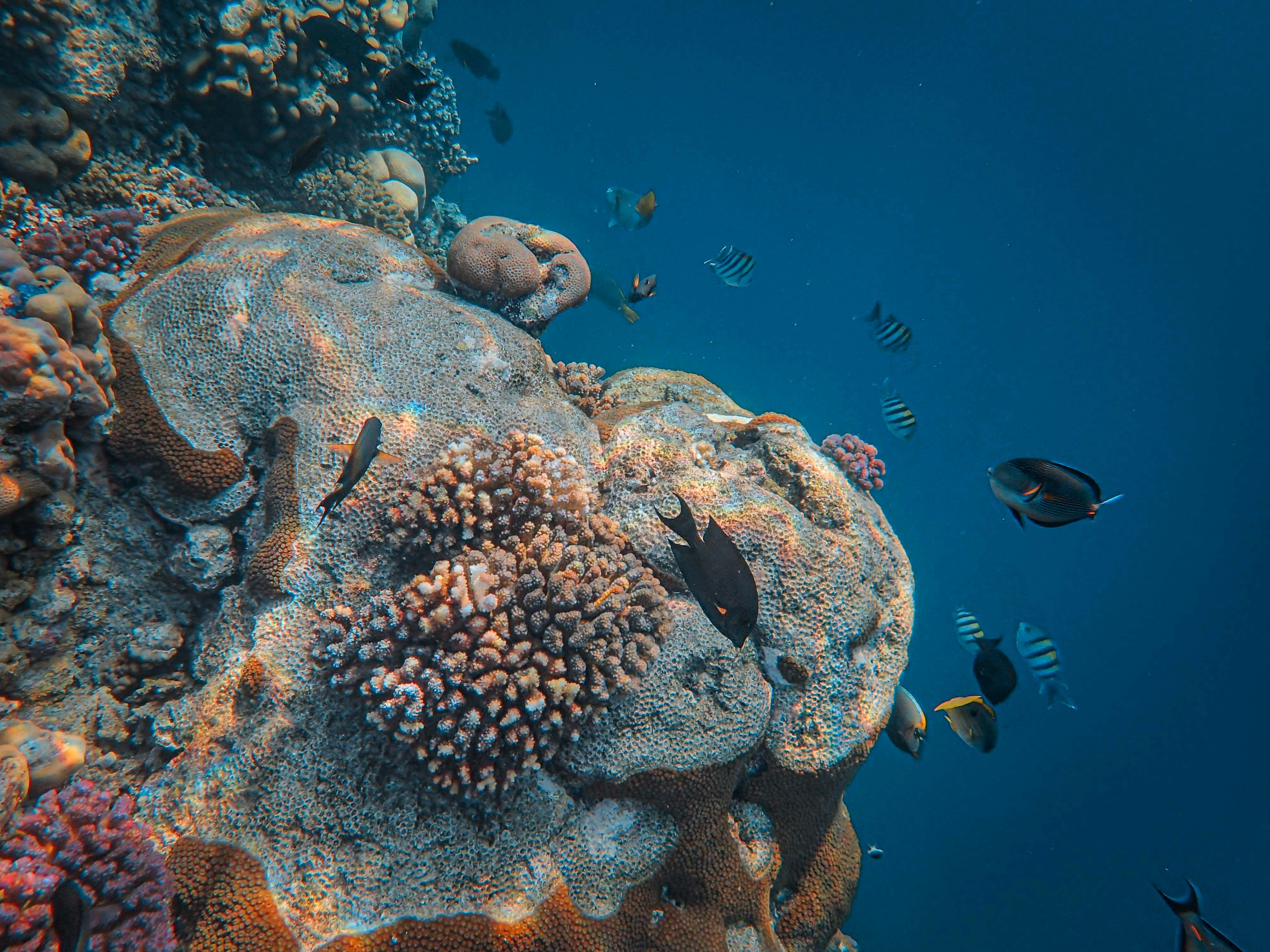 Photo by francesco_ungaro