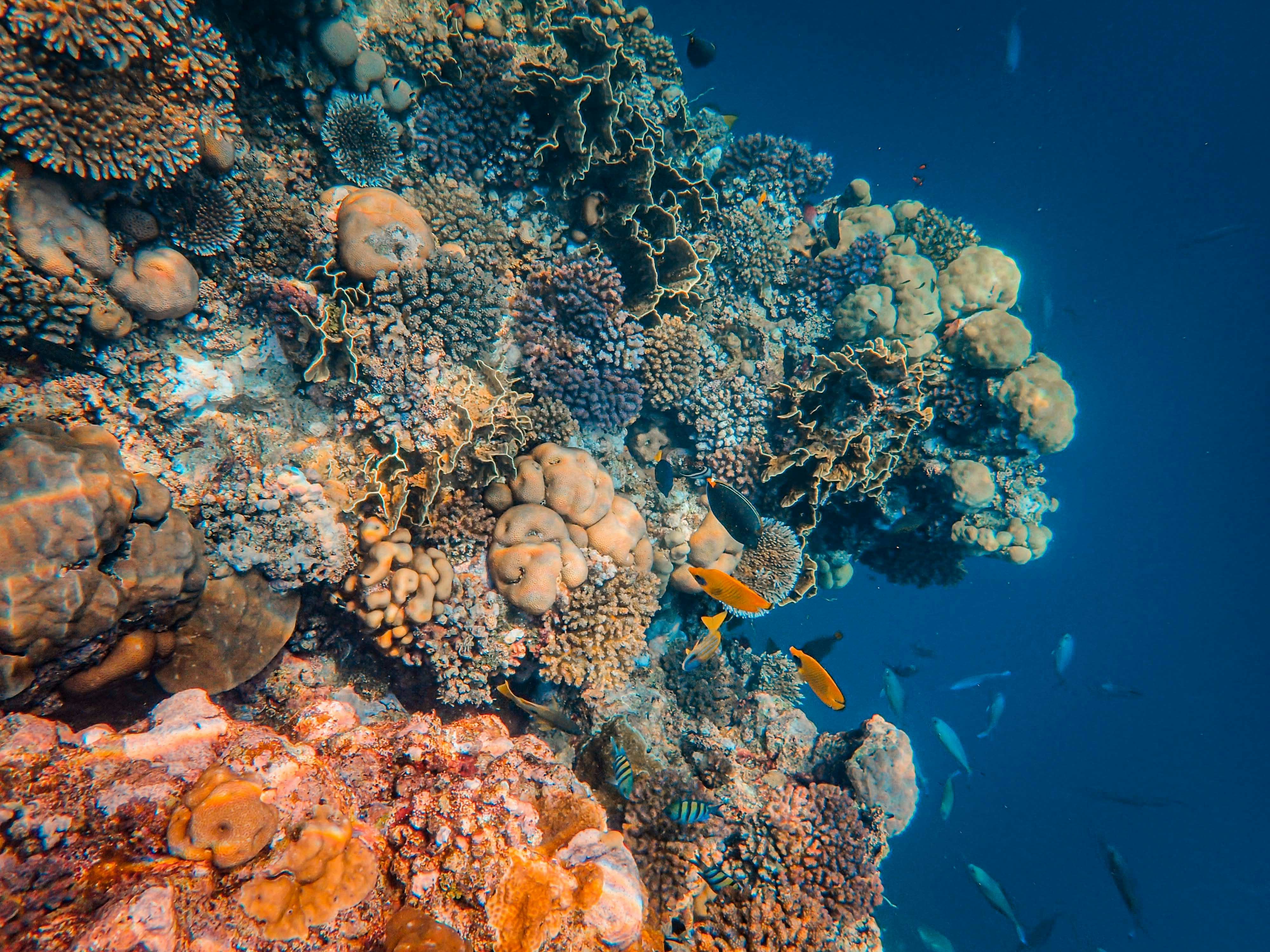 Photo by francesco_ungaro