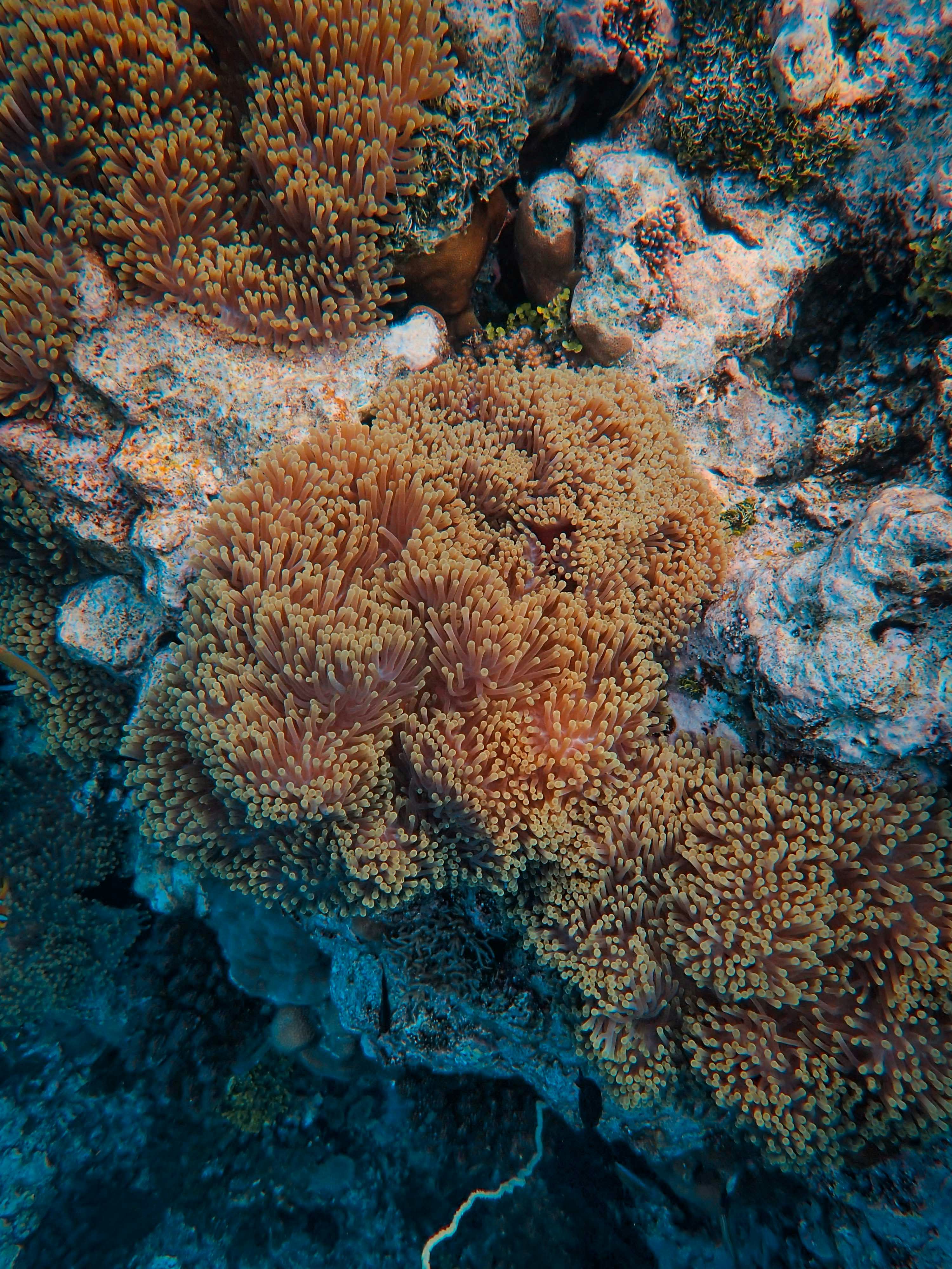 Photo by francesco_ungaro