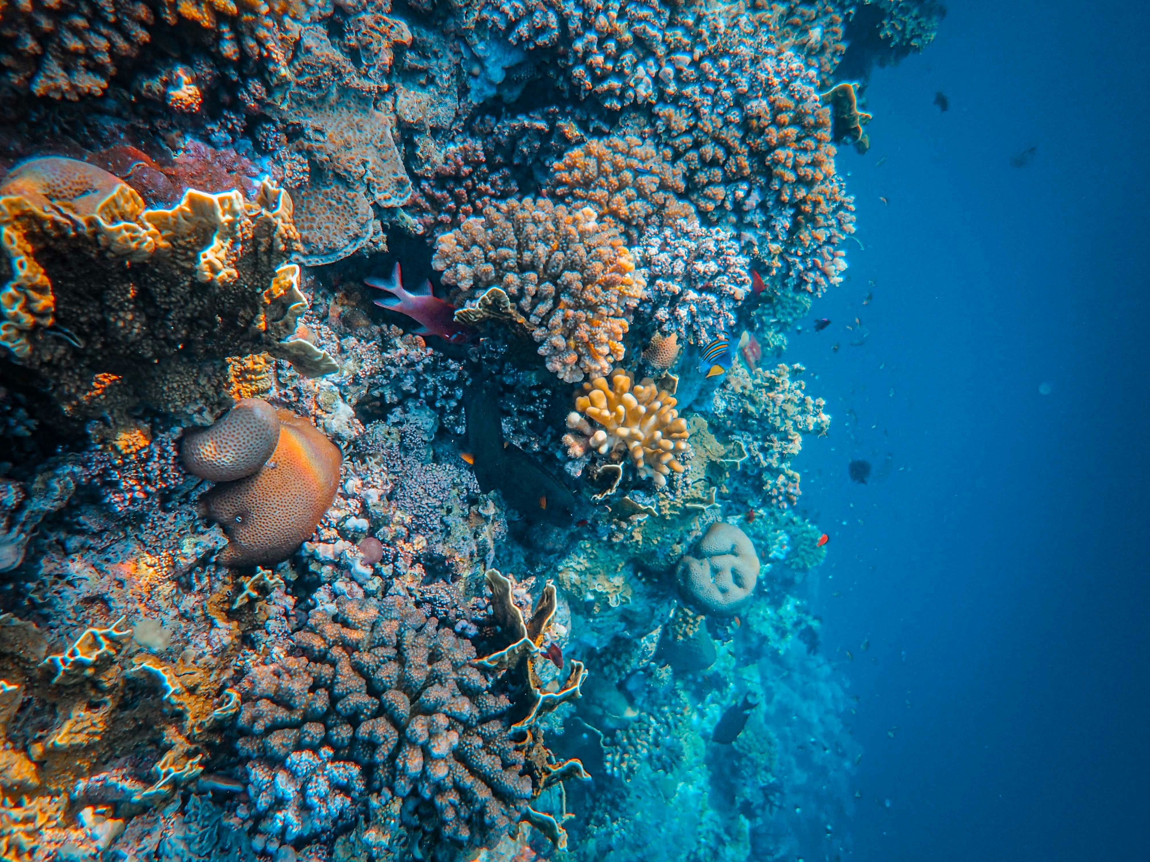 Photo by francesco_ungaro