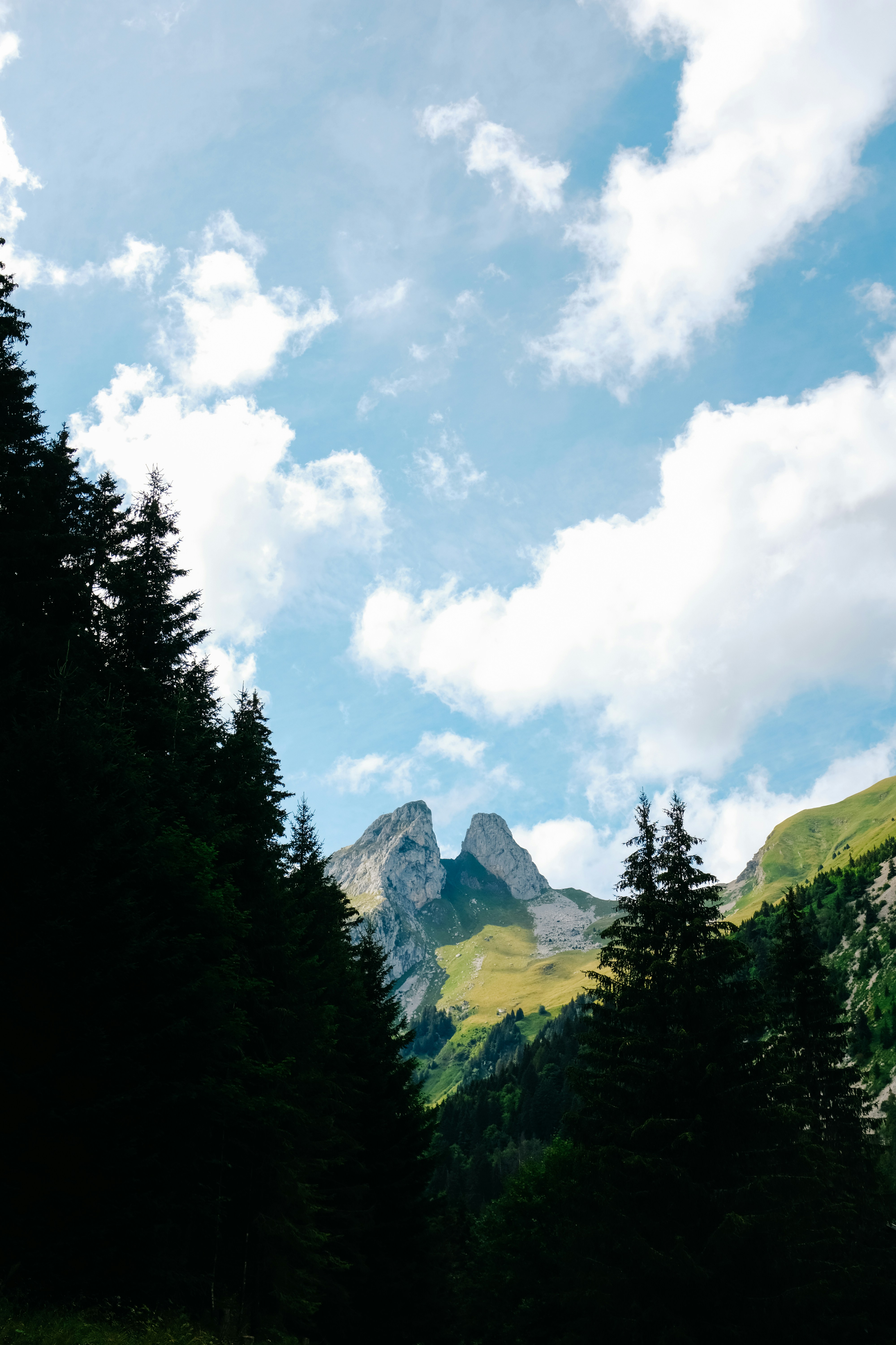 Photo by adrienolichon