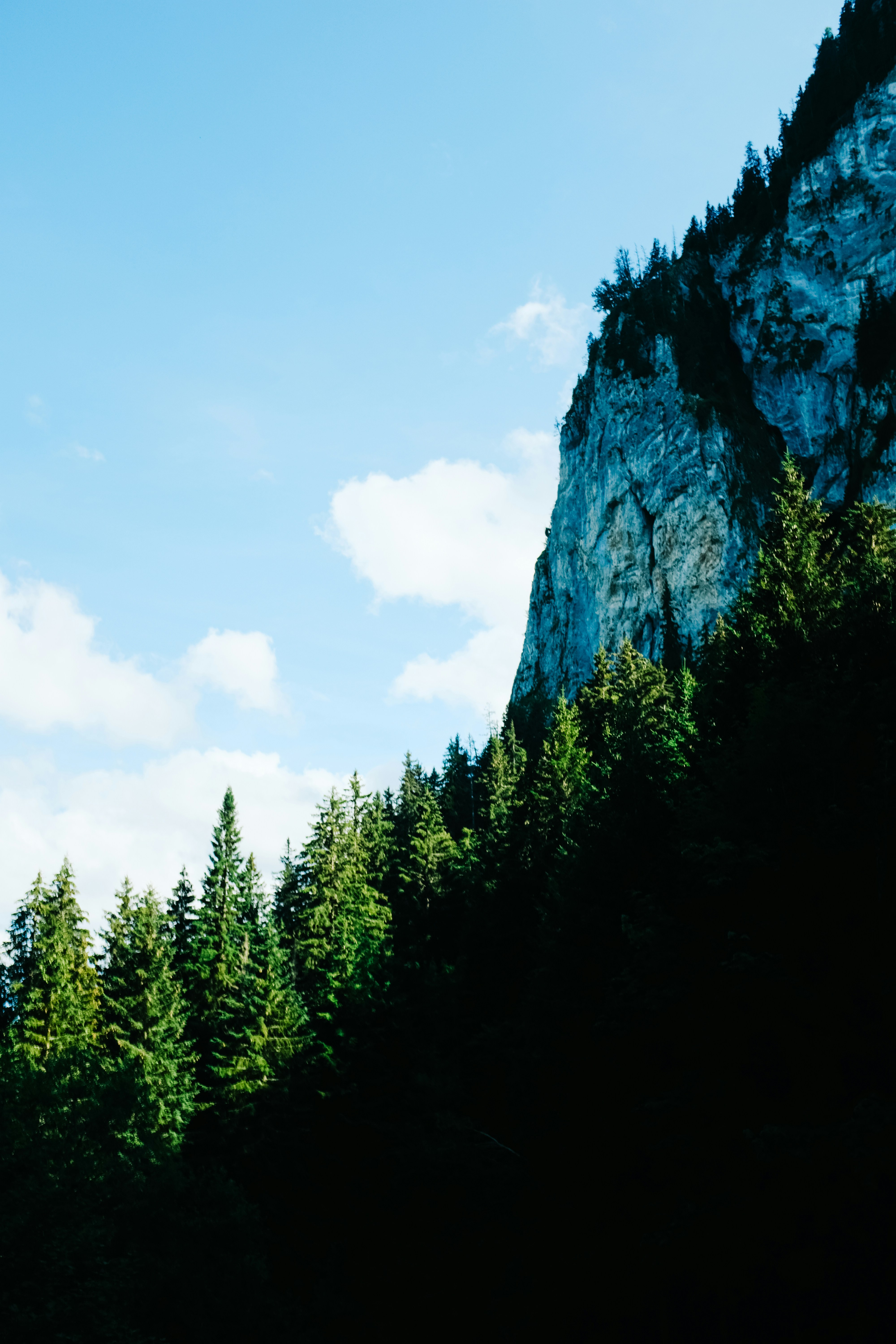 Photo by adrienolichon