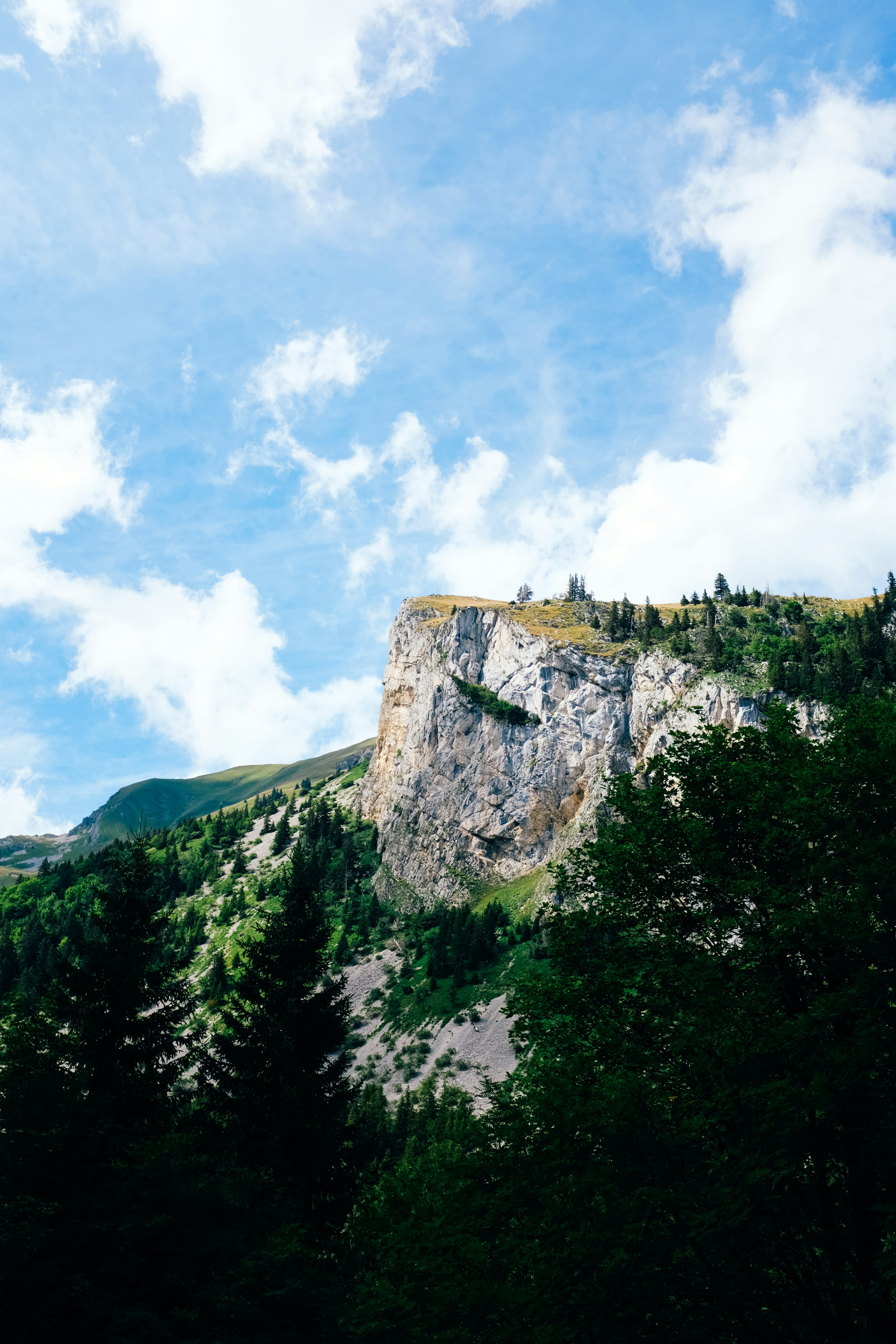 Photo by adrienolichon