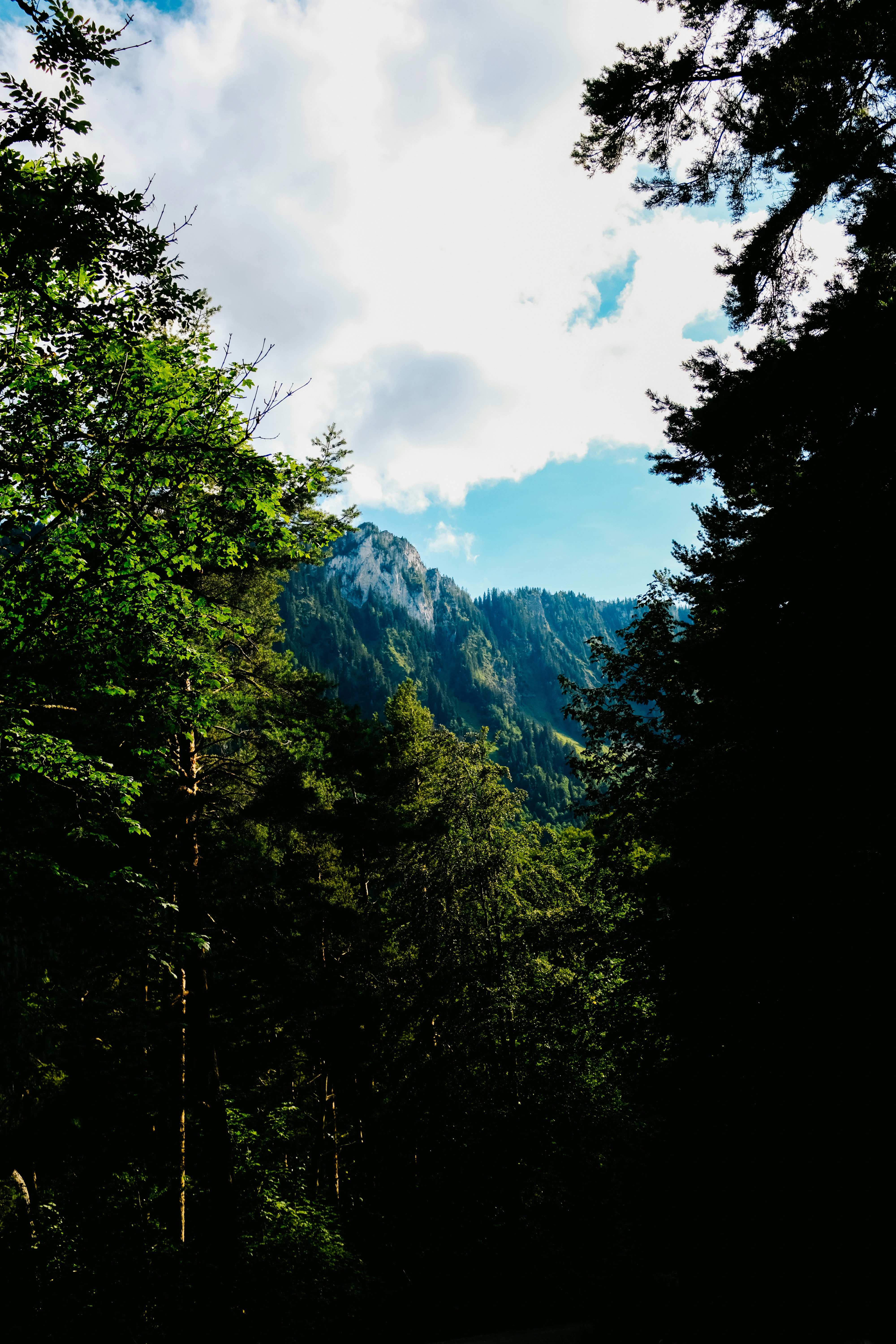 Photo by adrienolichon