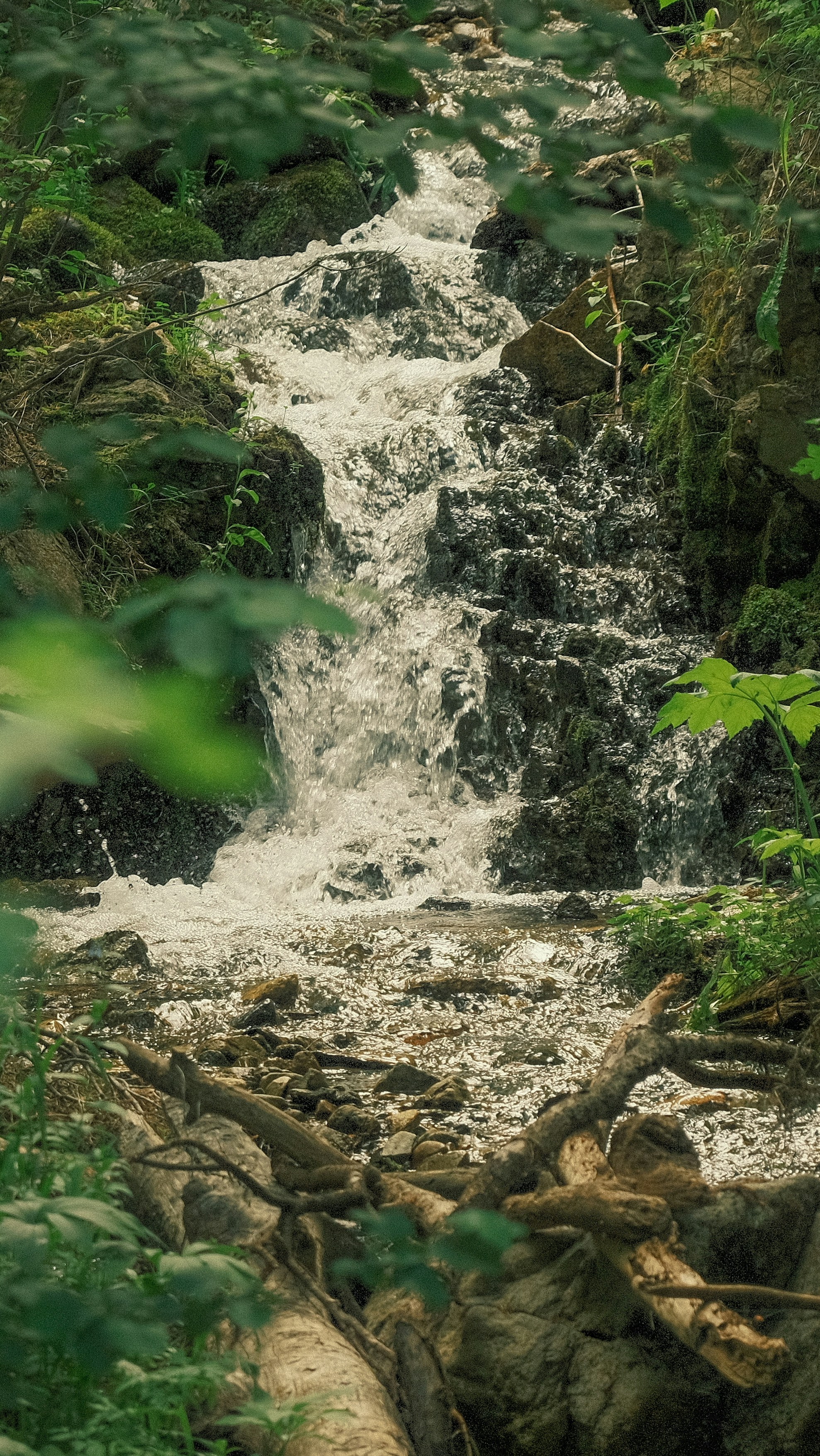 Photo by maxmeadowcroft