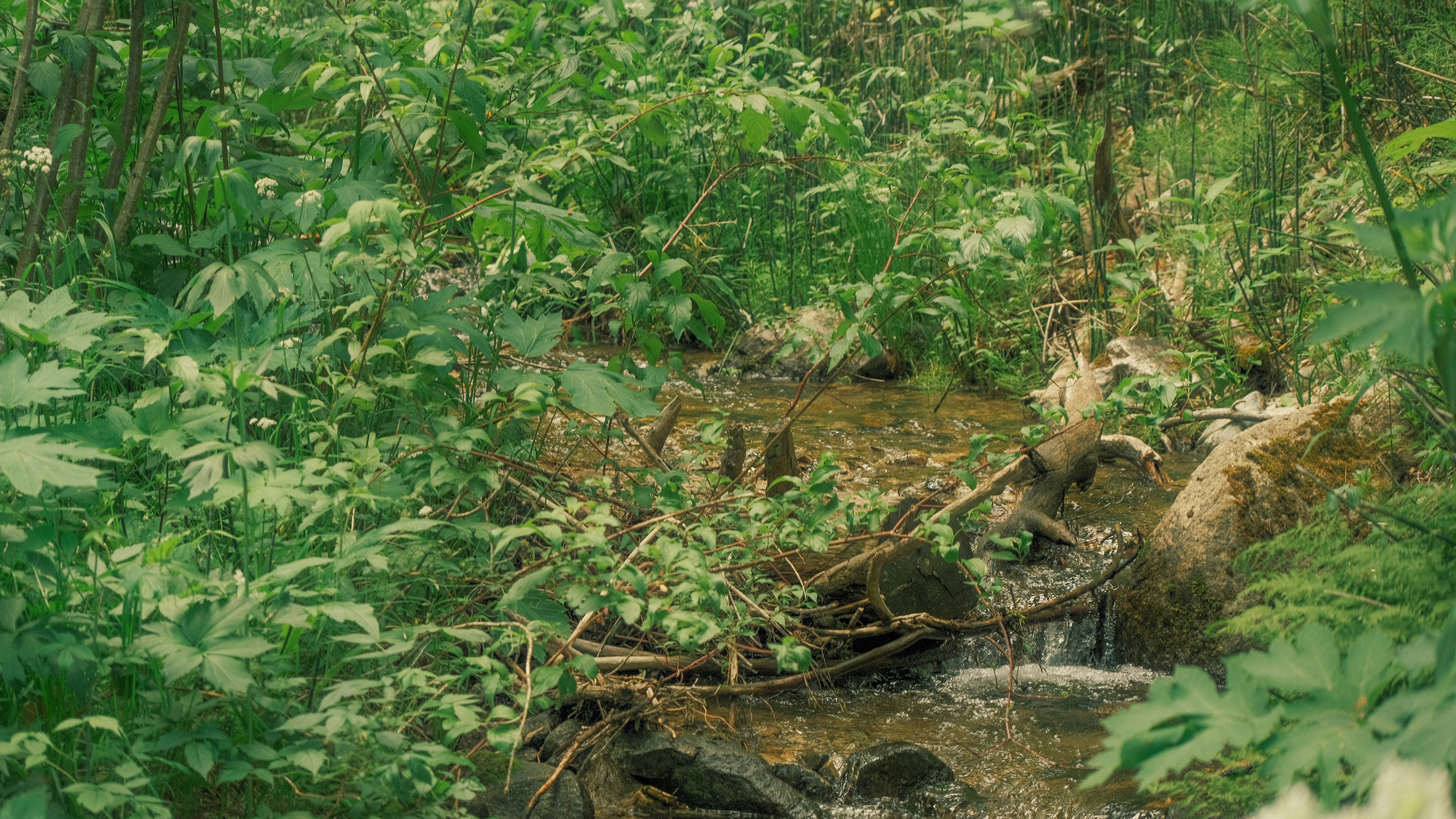 Photo by maxmeadowcroft