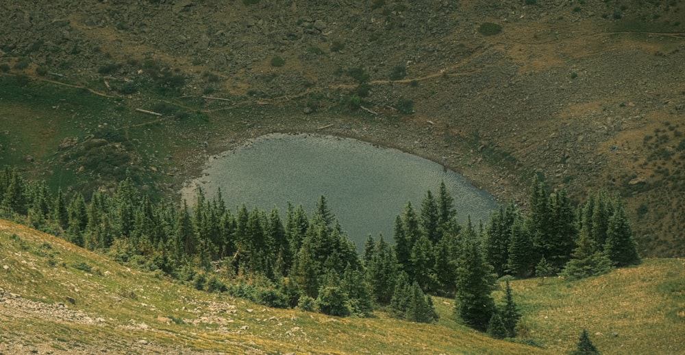 a mountain with a lake surrounded by trees