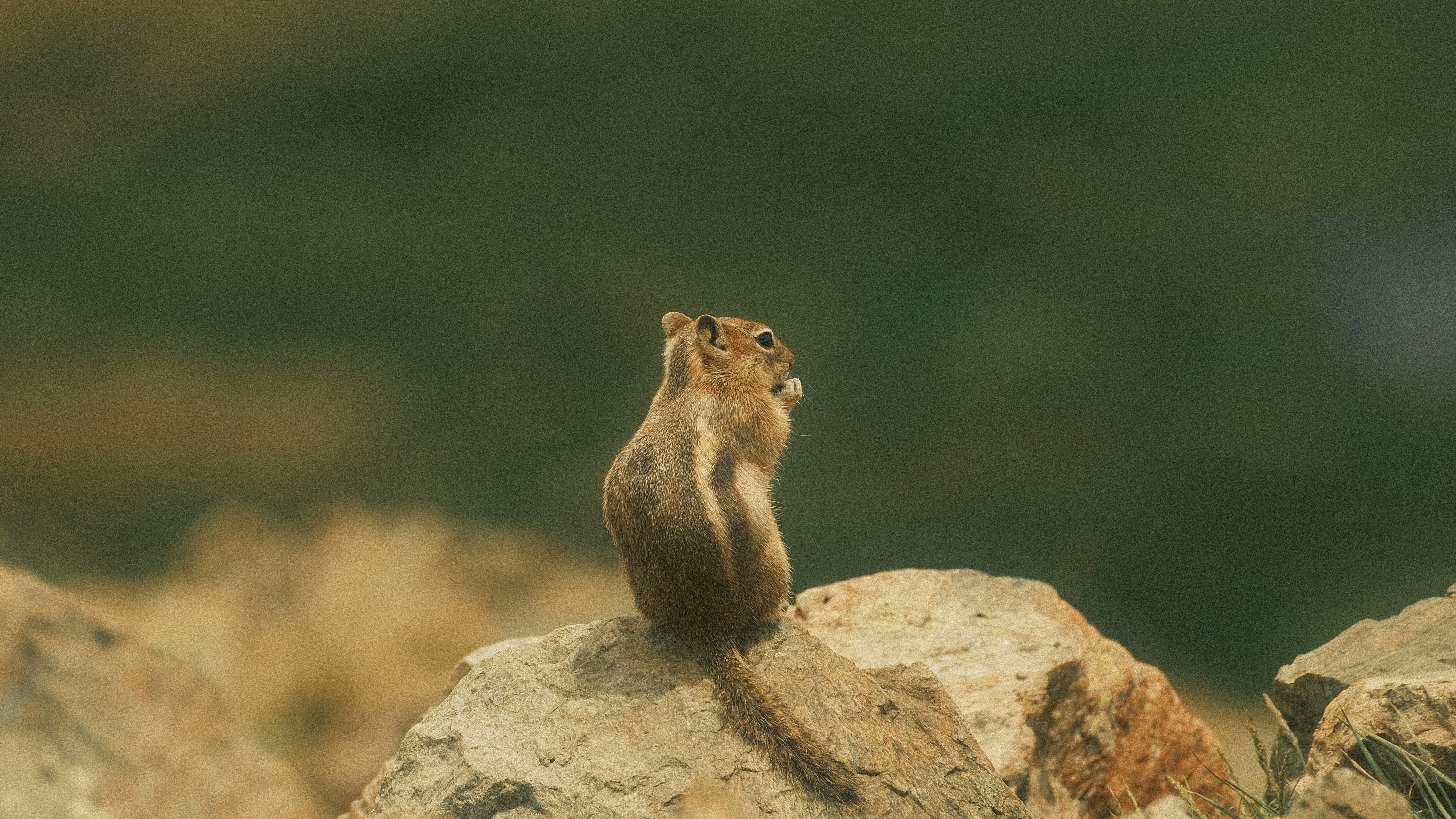 Photo by maxmeadowcroft