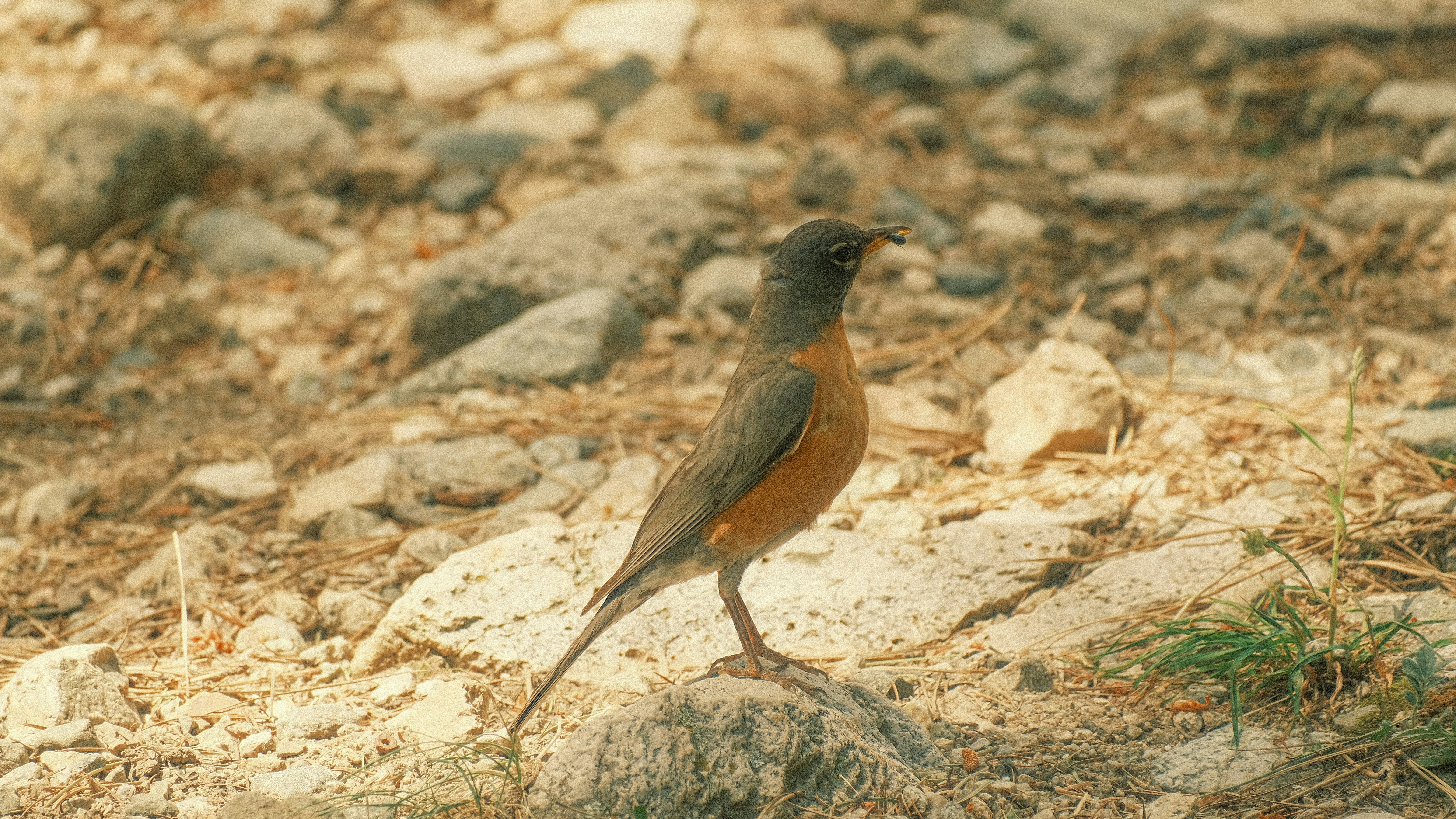 Photo by maxmeadowcroft